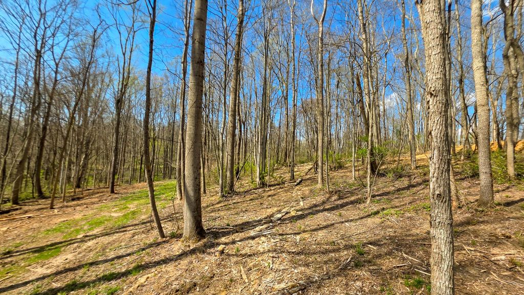 Photo of 0 Dennis Road (Tract 1 at Muskingum Woods) #(Tract 1 at Muskingu, Zanesville, OH 43701 (MLS # 226014709)