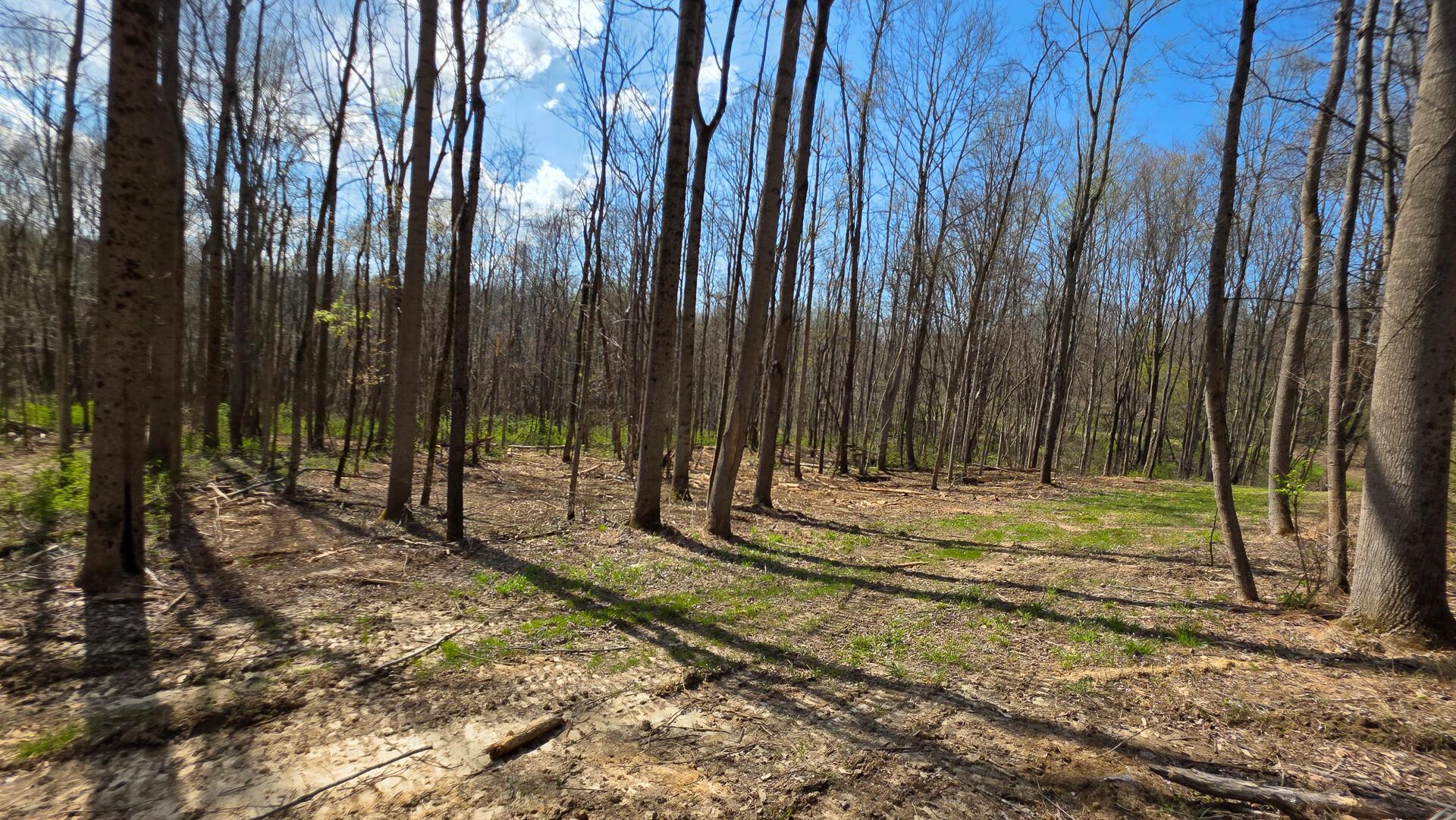 0 Dennis Road (Tract 1 at Muskingum Woods)