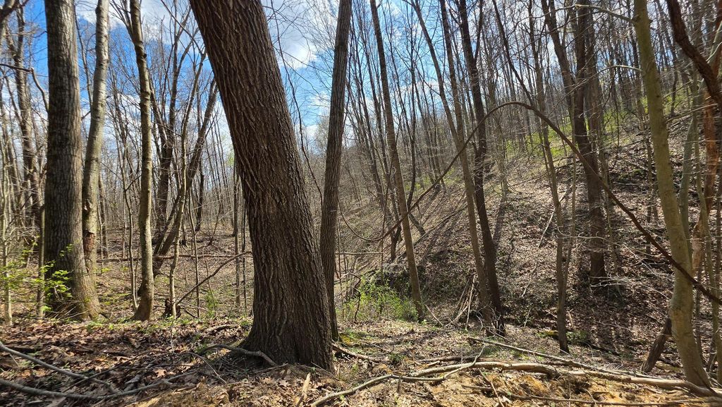 Photo of 0 Dennis Road (Tract 1 at Muskingum Woods) #(Tract 1 at Muskingu, Zanesville, OH 43701 (MLS # 226014709)