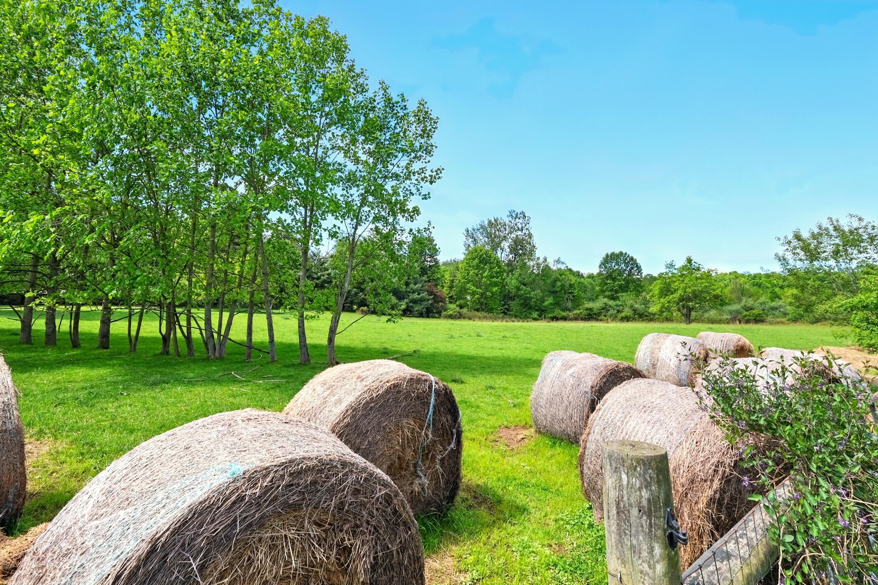 7595 Co Rd 19, Fredericktown, Ohio image 17