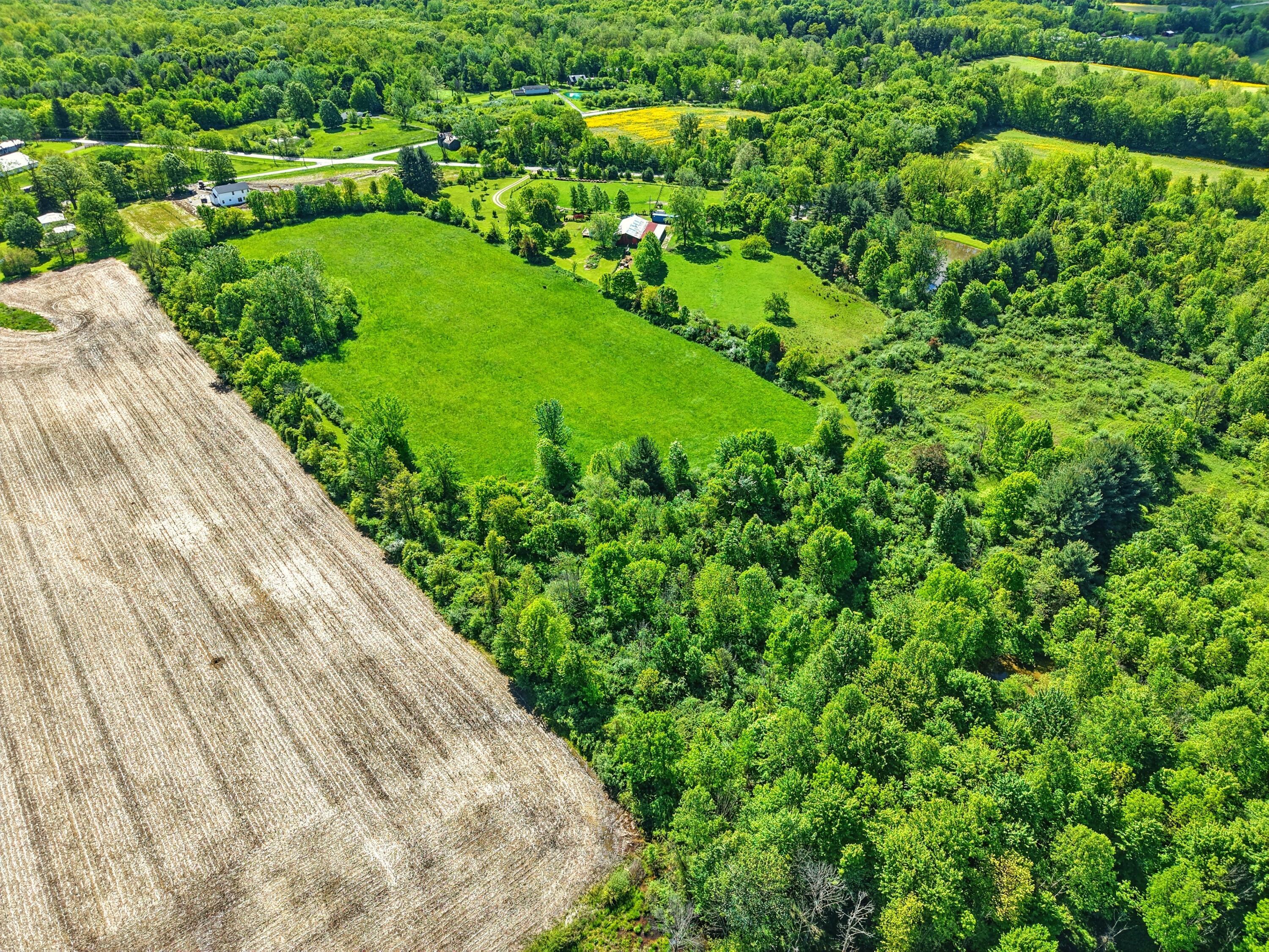 7595 Co Rd 19, Fredericktown, Ohio image 4