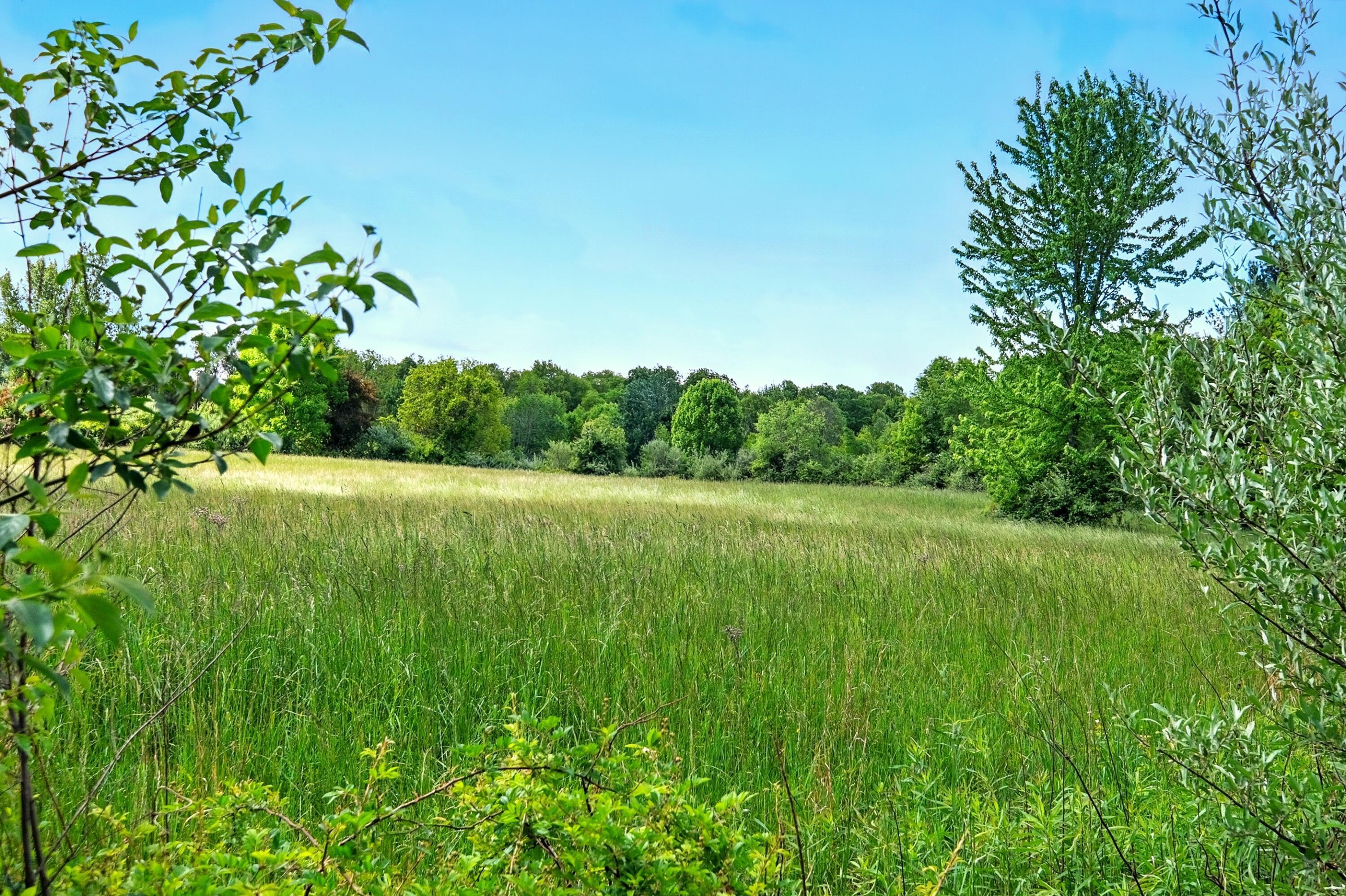 7595 Co Rd 19, Fredericktown, Ohio image 11