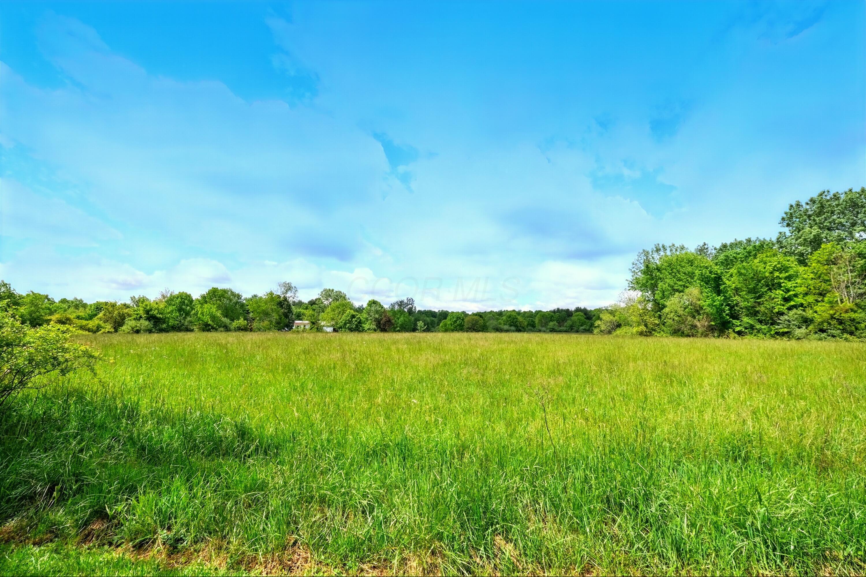 7595 Co Rd 19, Fredericktown, Ohio image 12