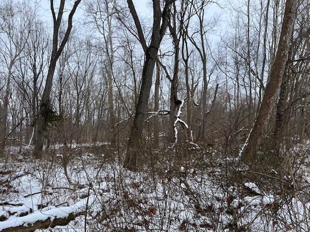 Homer Road, Utica, Ohio image 5