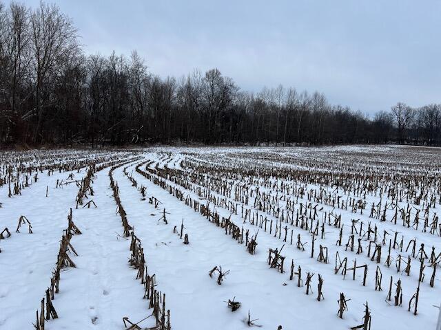 Homer Road, Utica, Ohio image 8