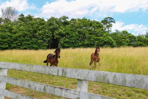 Tiny photo for 16187 Kreashbaum Road, Rockbridge, OH 43149 (MLS # 226000601)