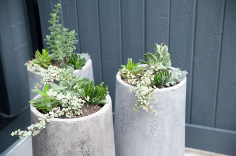 Tiny photo for 186 E Sycamore Street, Columbus, OH 43206 (MLS # 225045031)