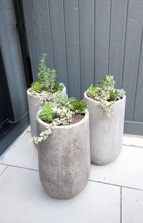 Tiny photo for 186 E Sycamore Street, Columbus, OH 43206 (MLS # 225045031)