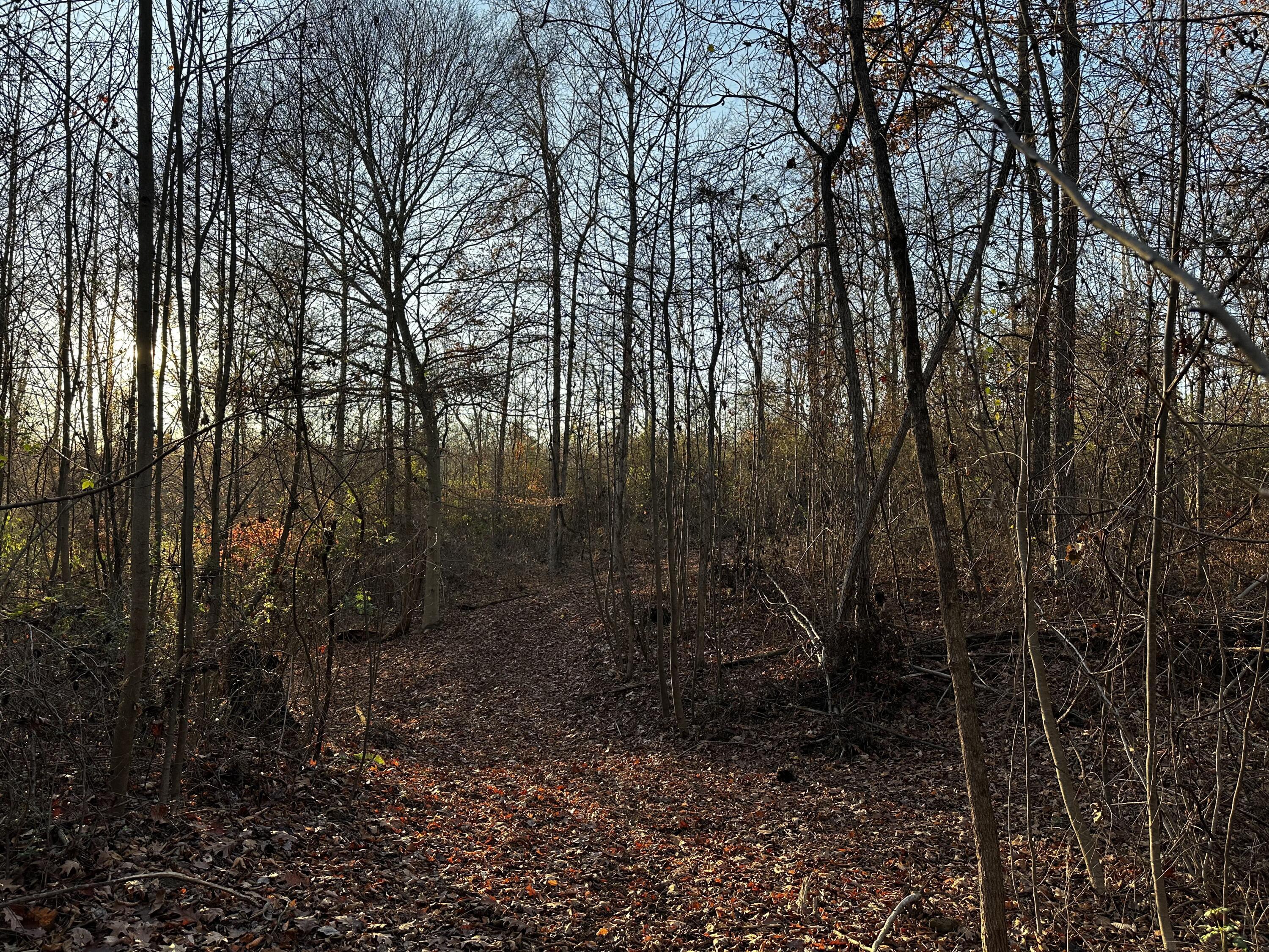 7342 Dutch Ridge Road #TRACT 1 AT DUTCH RIDGE, New Straitsville, Ohio image 37