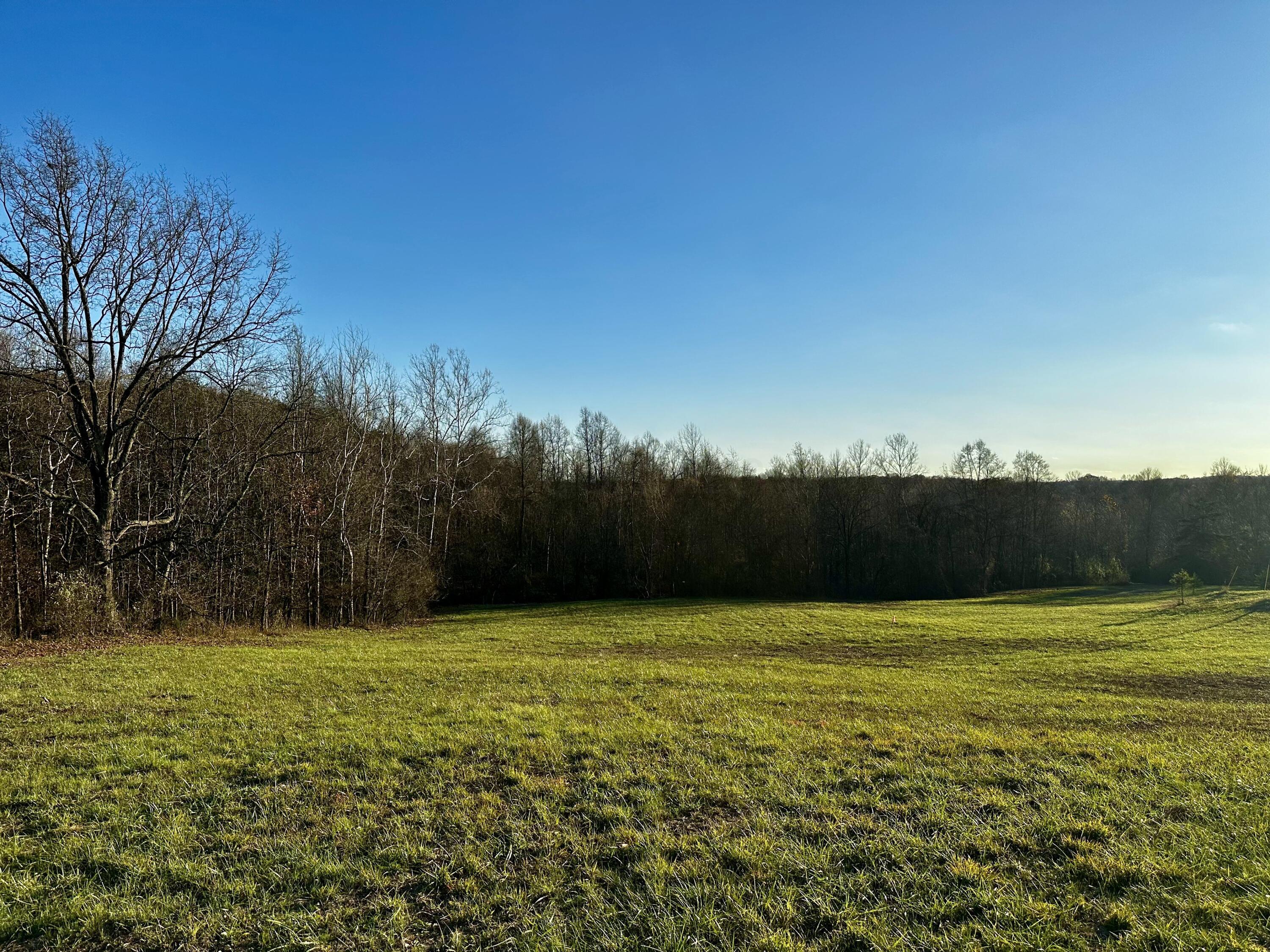 7342 Dutch Ridge Road #TRACT 1 AT DUTCH RIDGE, New Straitsville, Ohio image 1