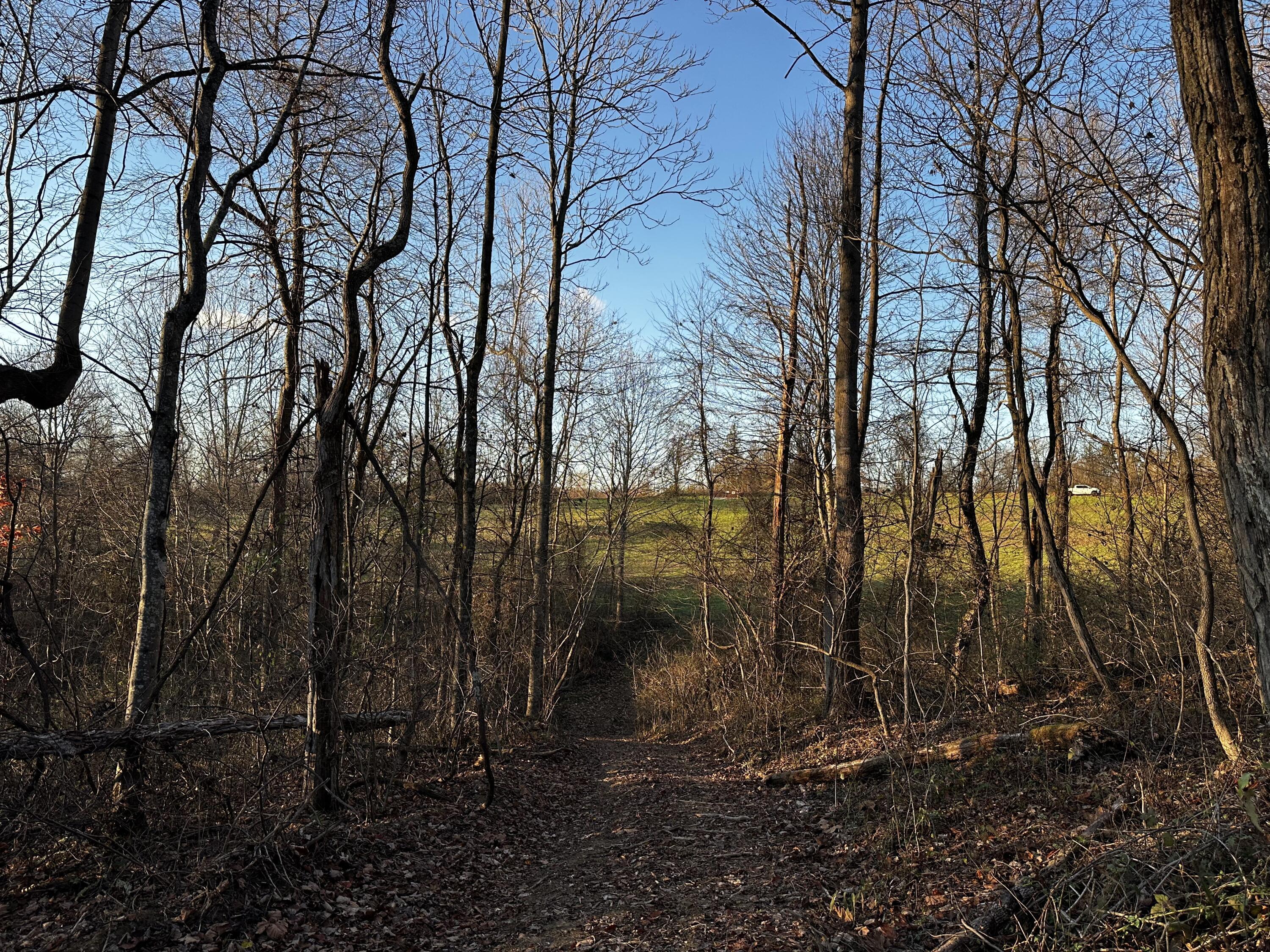 7342 Dutch Ridge Road #TRACT 1 AT DUTCH RIDGE, New Straitsville, Ohio image 9