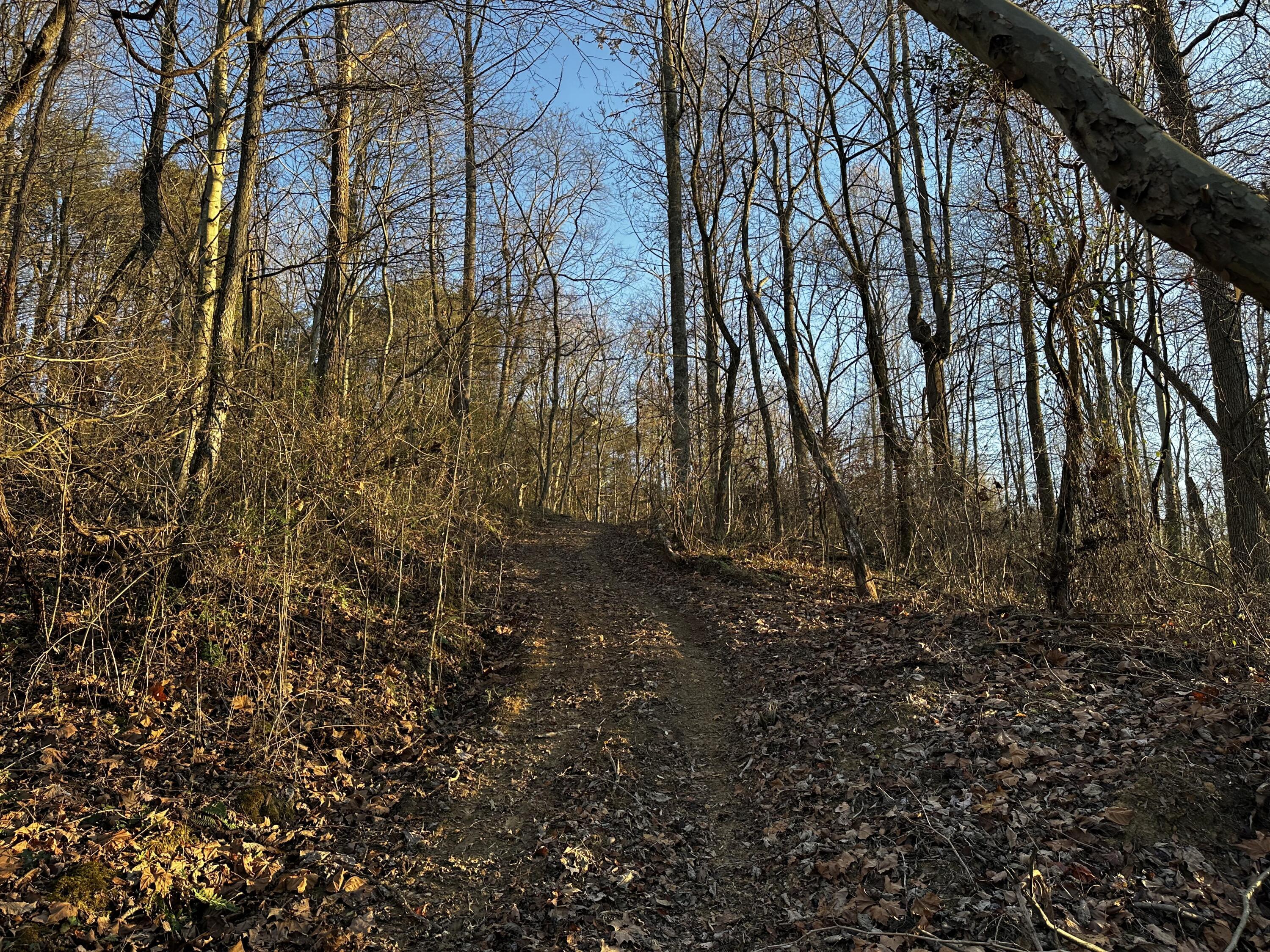 7342 Dutch Ridge Road #TRACT 1 AT DUTCH RIDGE, New Straitsville, Ohio image 7