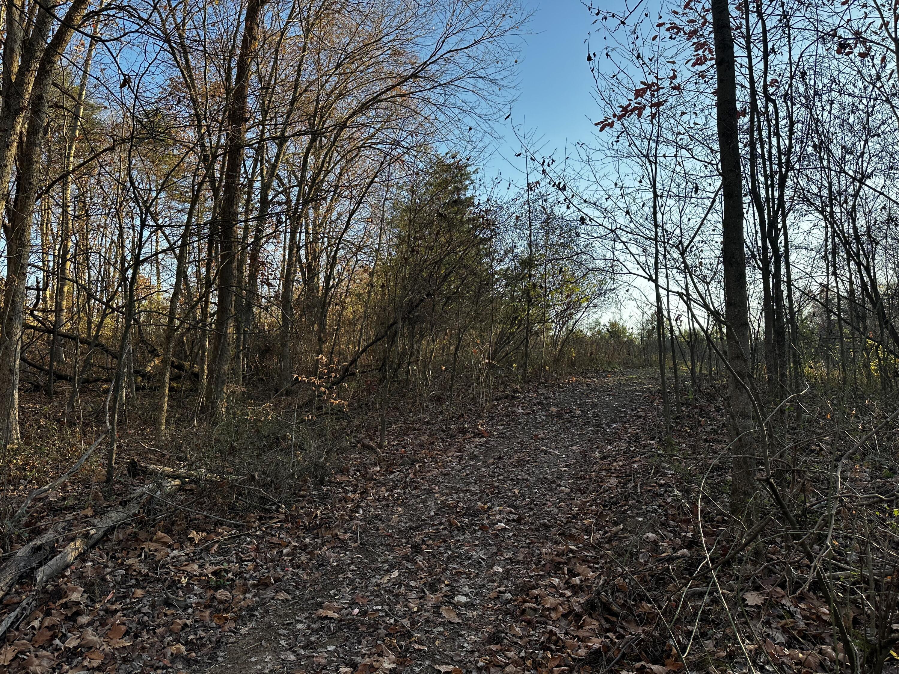 7342 Dutch Ridge Road #TRACT 1 AT DUTCH RIDGE, New Straitsville, Ohio image 27