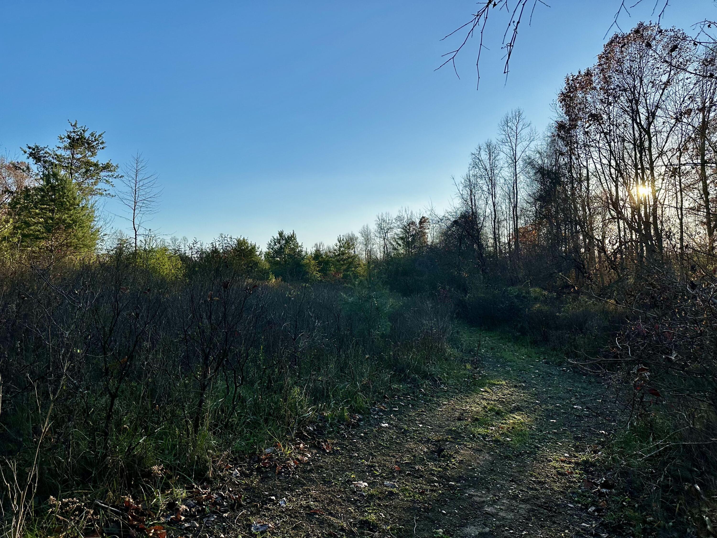 7342 Dutch Ridge Road #TRACT 1 AT DUTCH RIDGE, New Straitsville, Ohio image 8