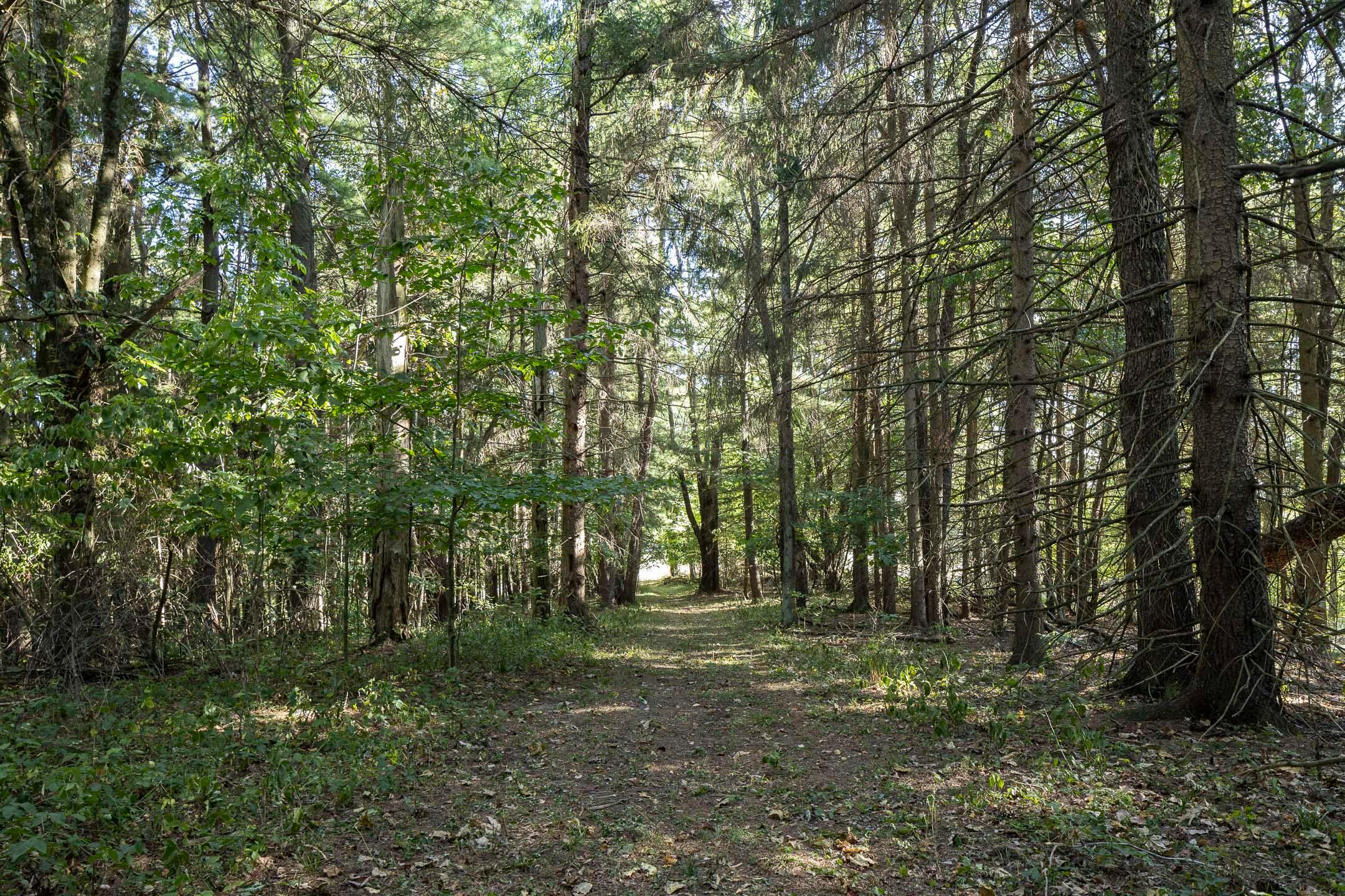 Maharg Road, Saint Louisville, Ohio image 8