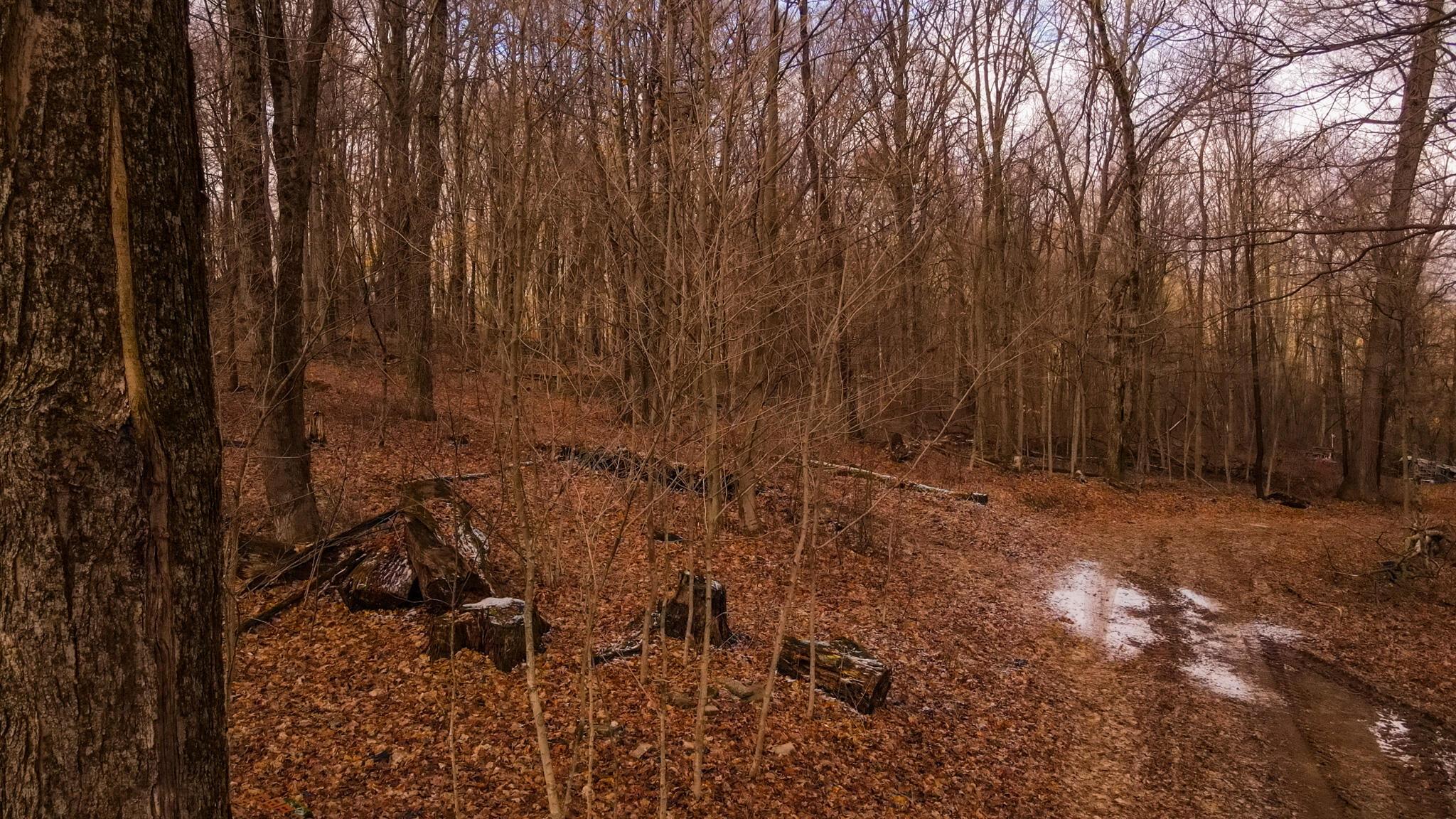 N Liberty Road, Mount Vernon, Ohio image 7