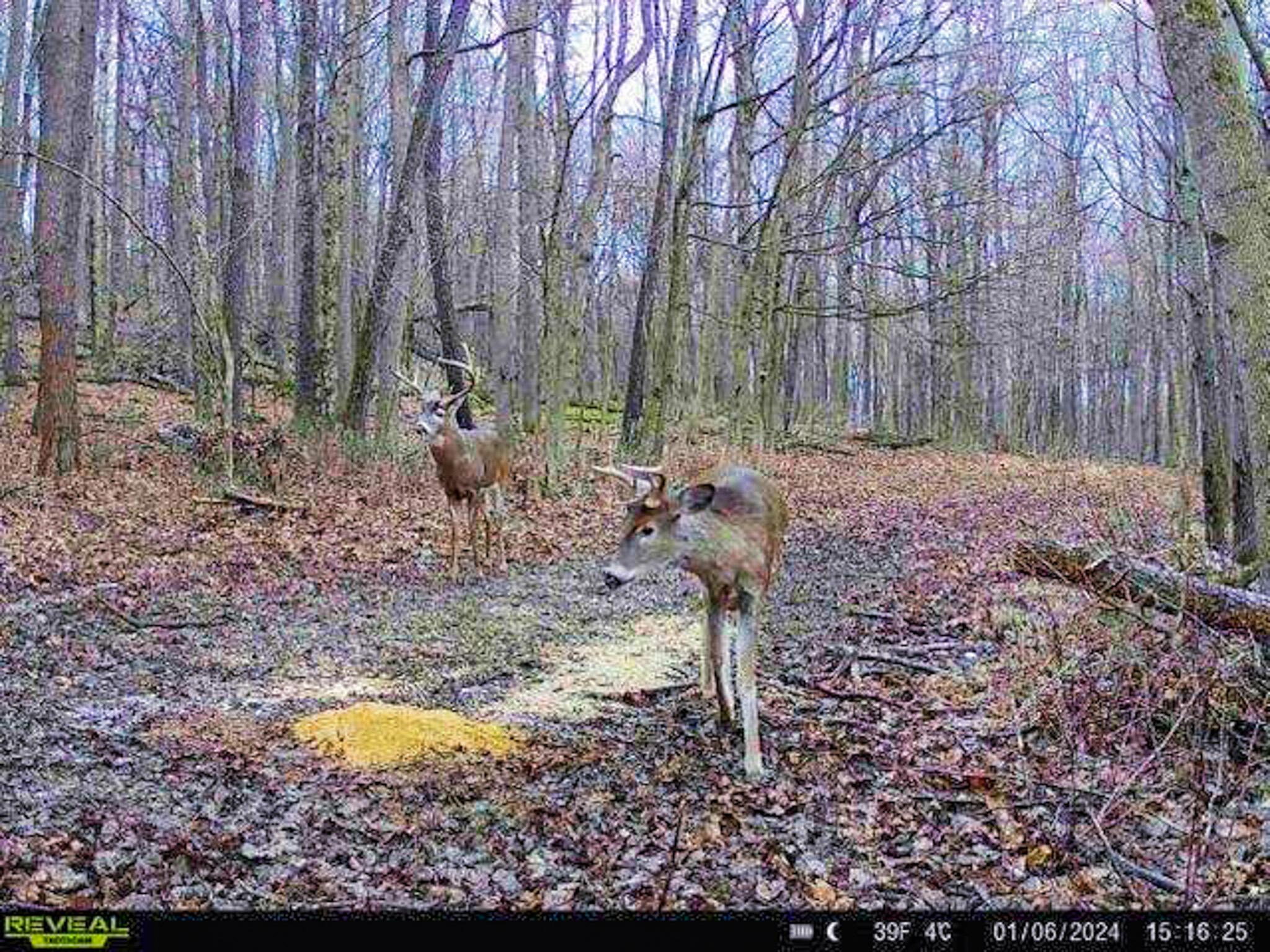 N Liberty Road, Mount Vernon, Ohio image 15