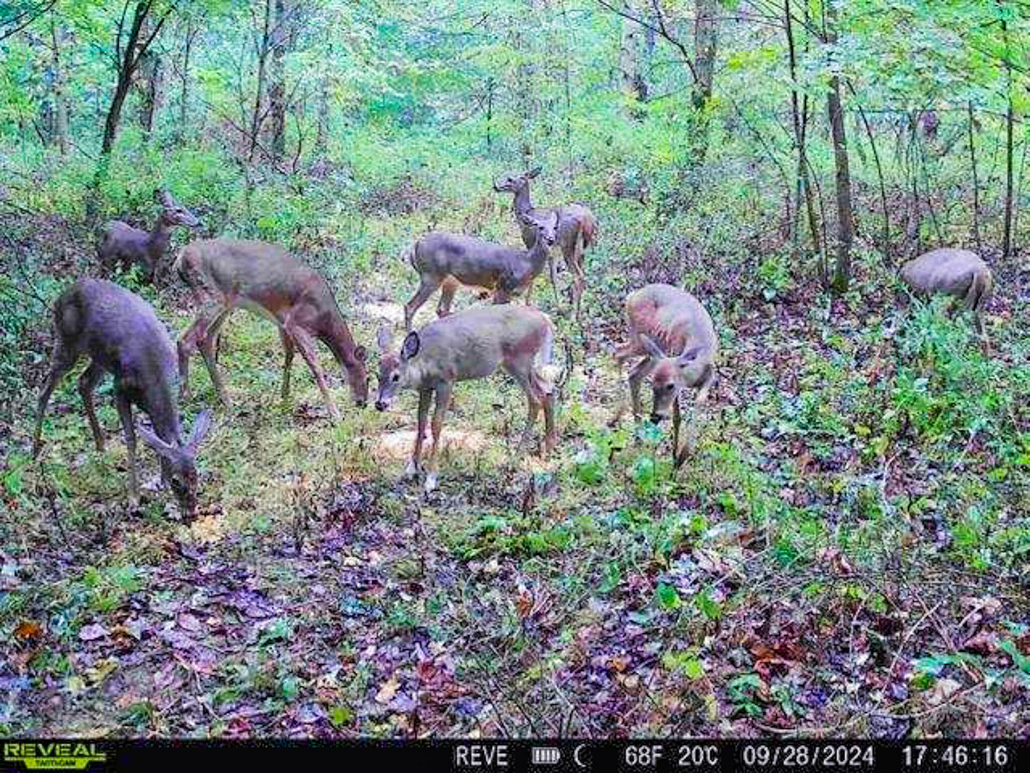 N Liberty Road, Mount Vernon, Ohio image 14