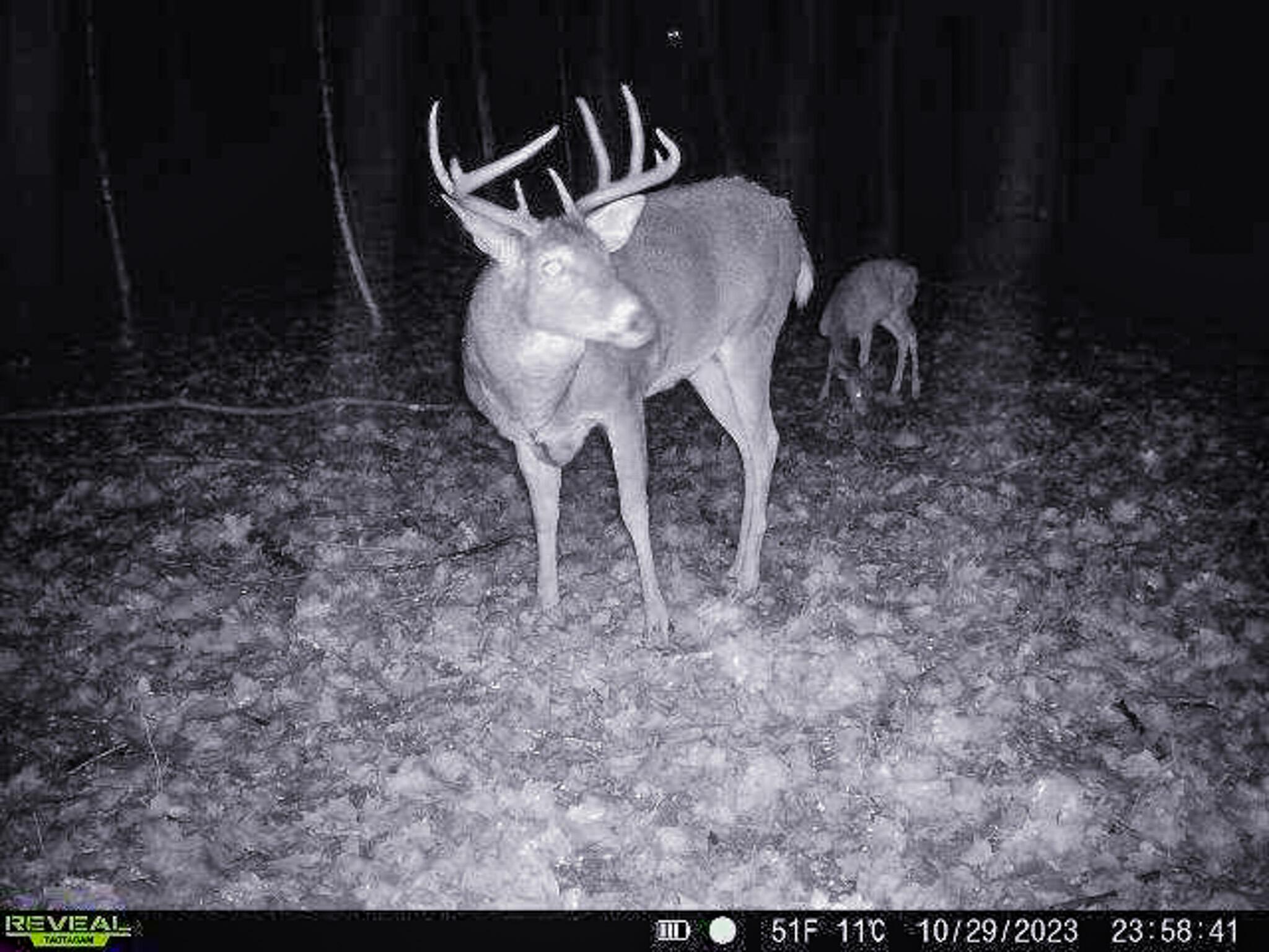 N Liberty Road, Mount Vernon, Ohio image 16