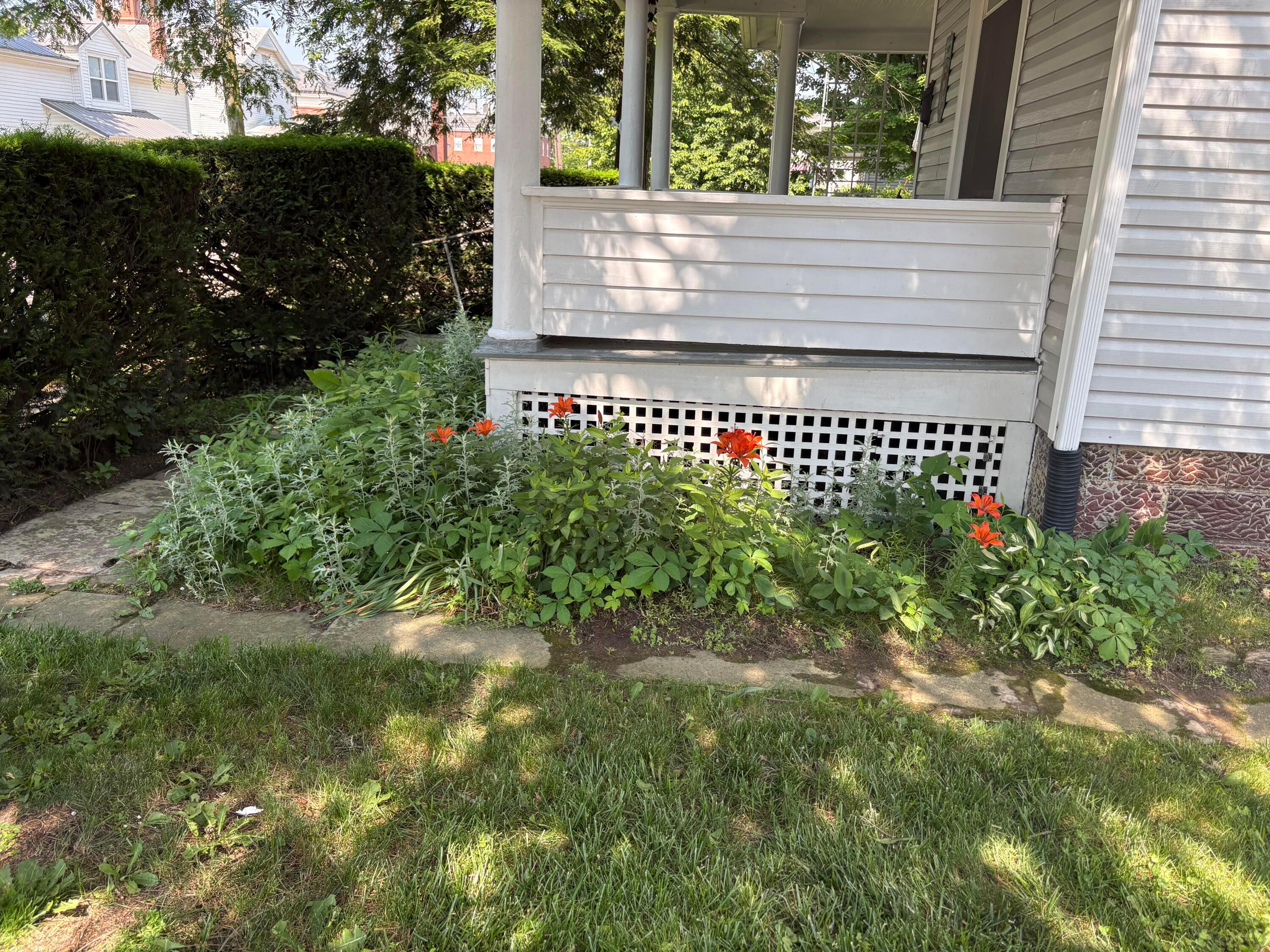 114 E North Street, Mount Gilead, Ohio image 4