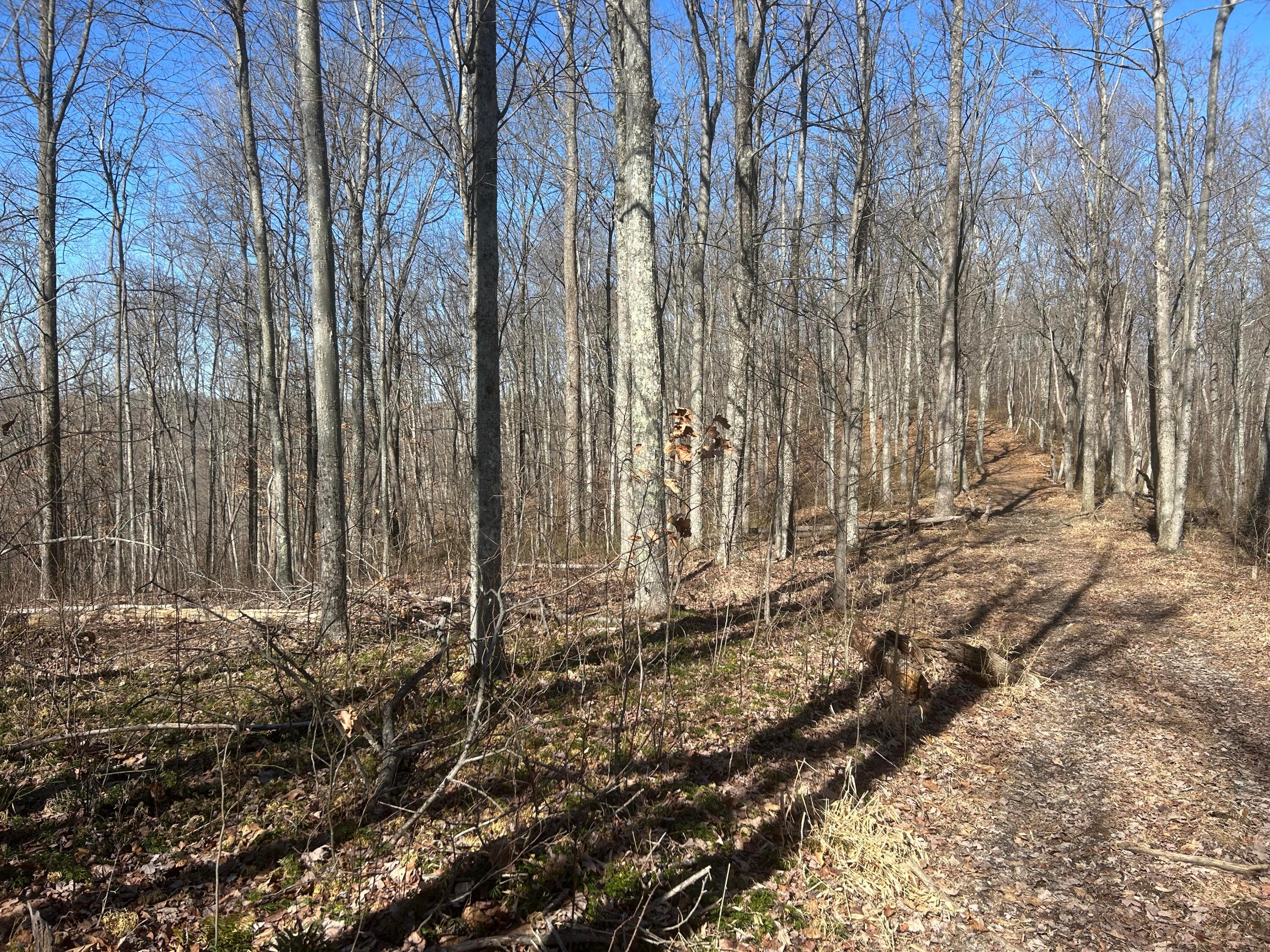 1020 Hunting Run Road C70