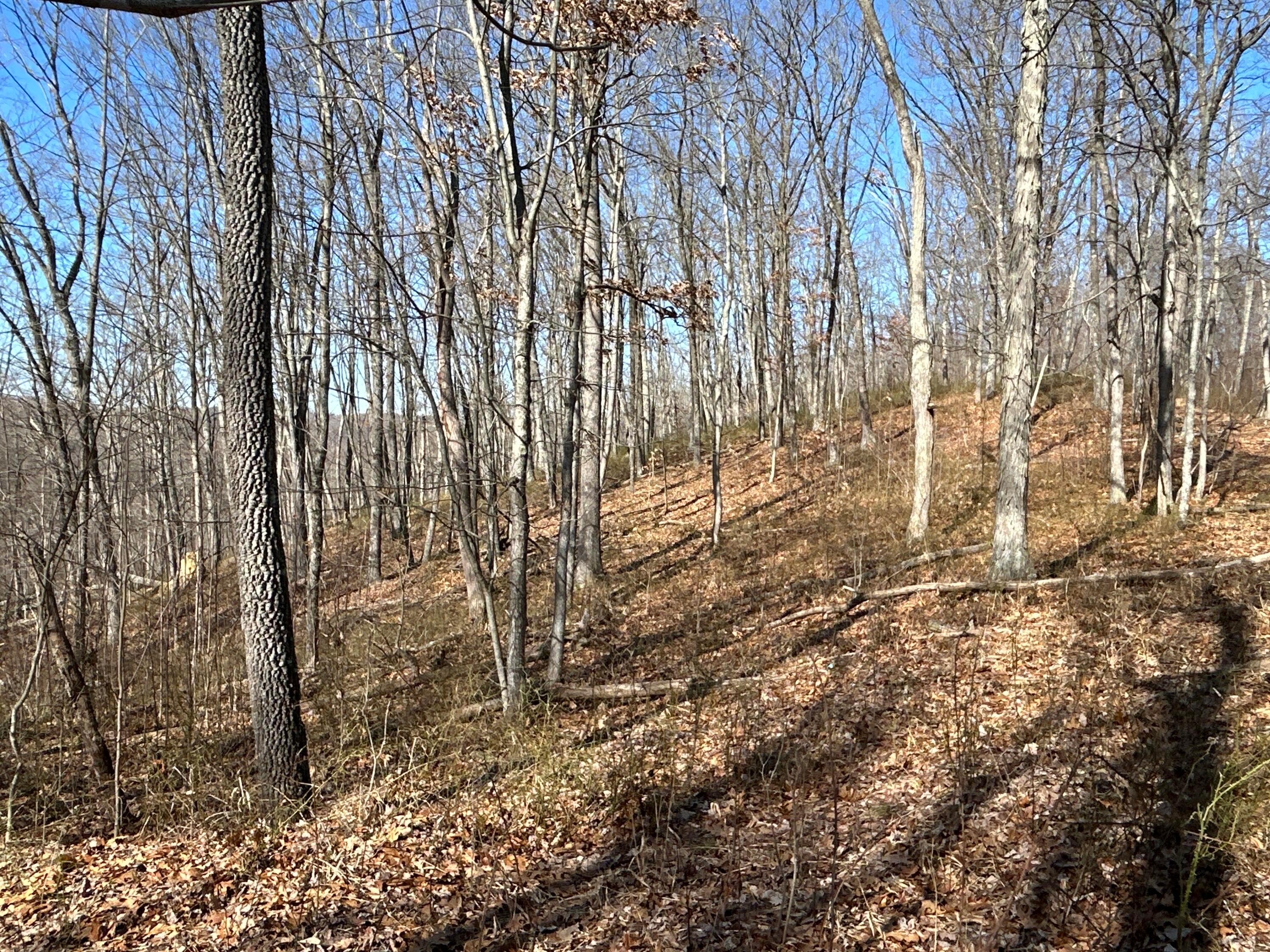 1020 Hunting Run Road C70