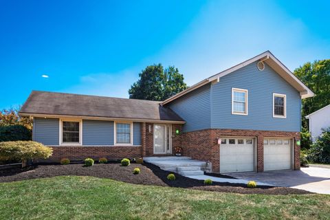 Photo for 4631 Hayes Road