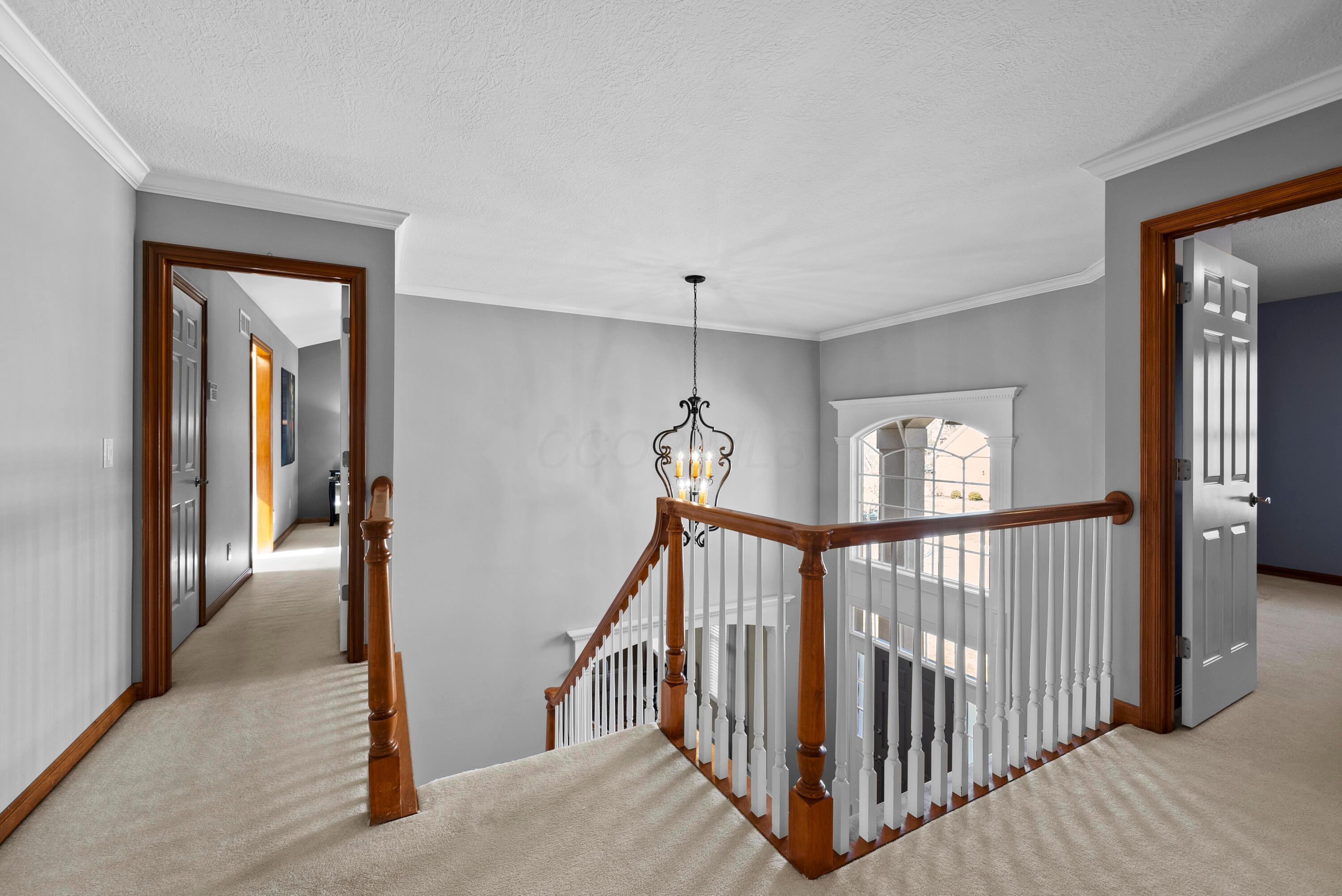 4845 Carrigan Ridge Drive, Dublin, Ohio image 23