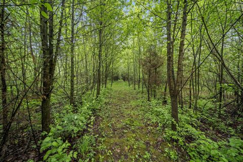 Tiny photo for 6732 London Groveport Road, Grove City, OH 43123 (MLS # 226014040)