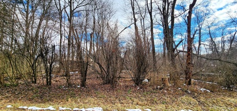 Photo for 0 Elm Road NE