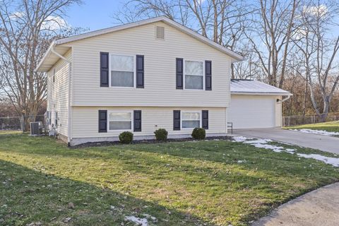 Photo of 6646 Birch Park Way, Galloway, OH 43119 (MLS # 225044462)