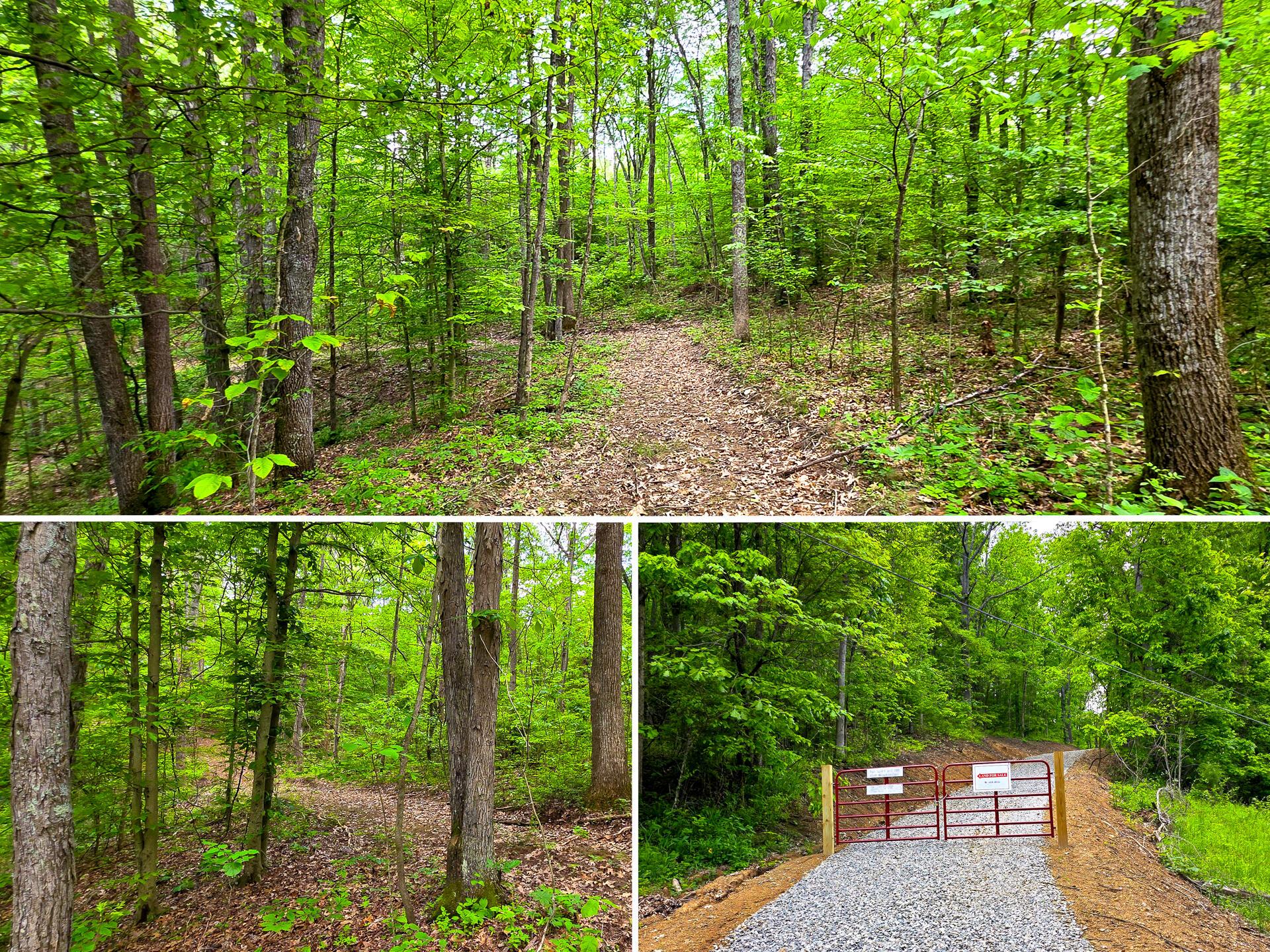 32325 Red Hill Road #PHASE I TRACT 1A BIG TIM, Langsville, Ohio image 1
