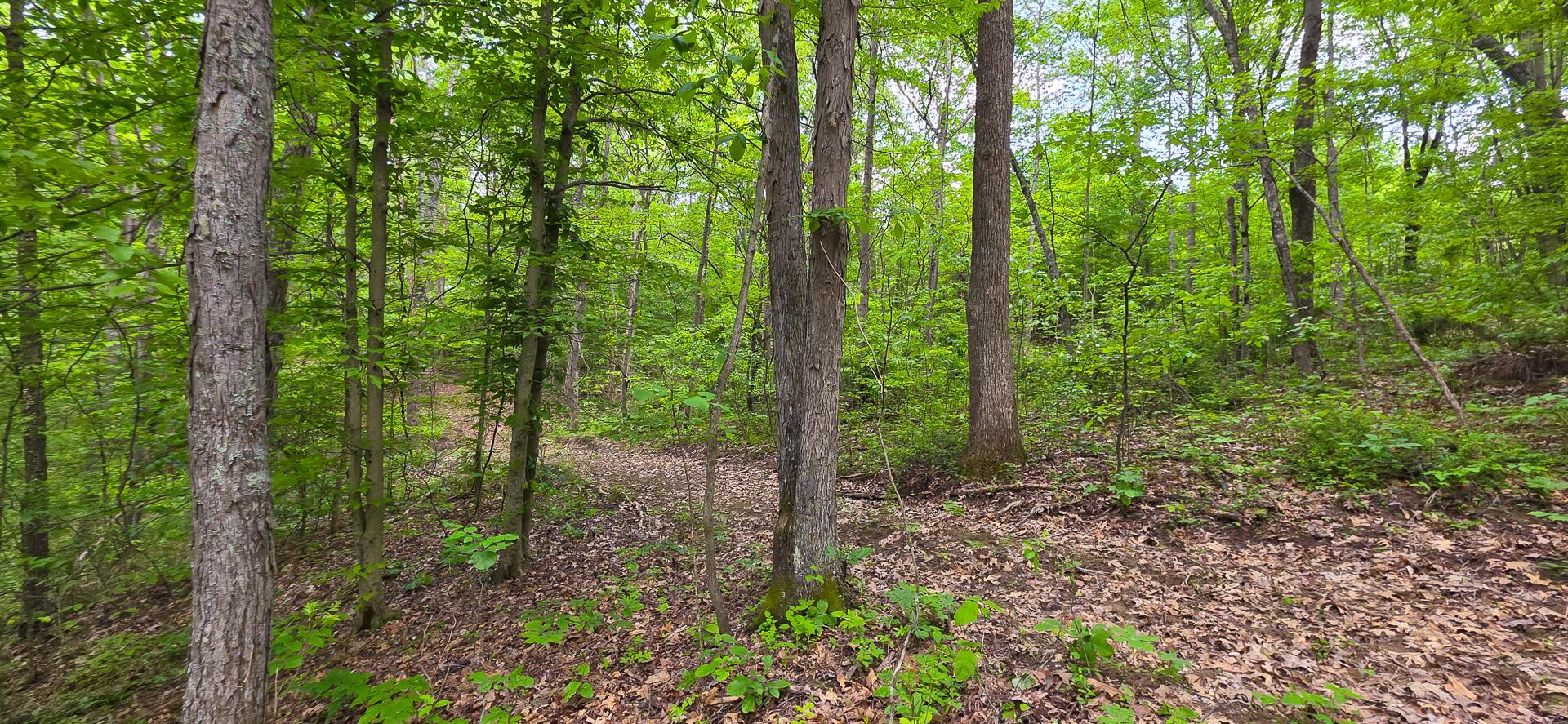 32325 Red Hill Road #PHASE I TRACT 1A BIG TIM, Langsville, Ohio image 16
