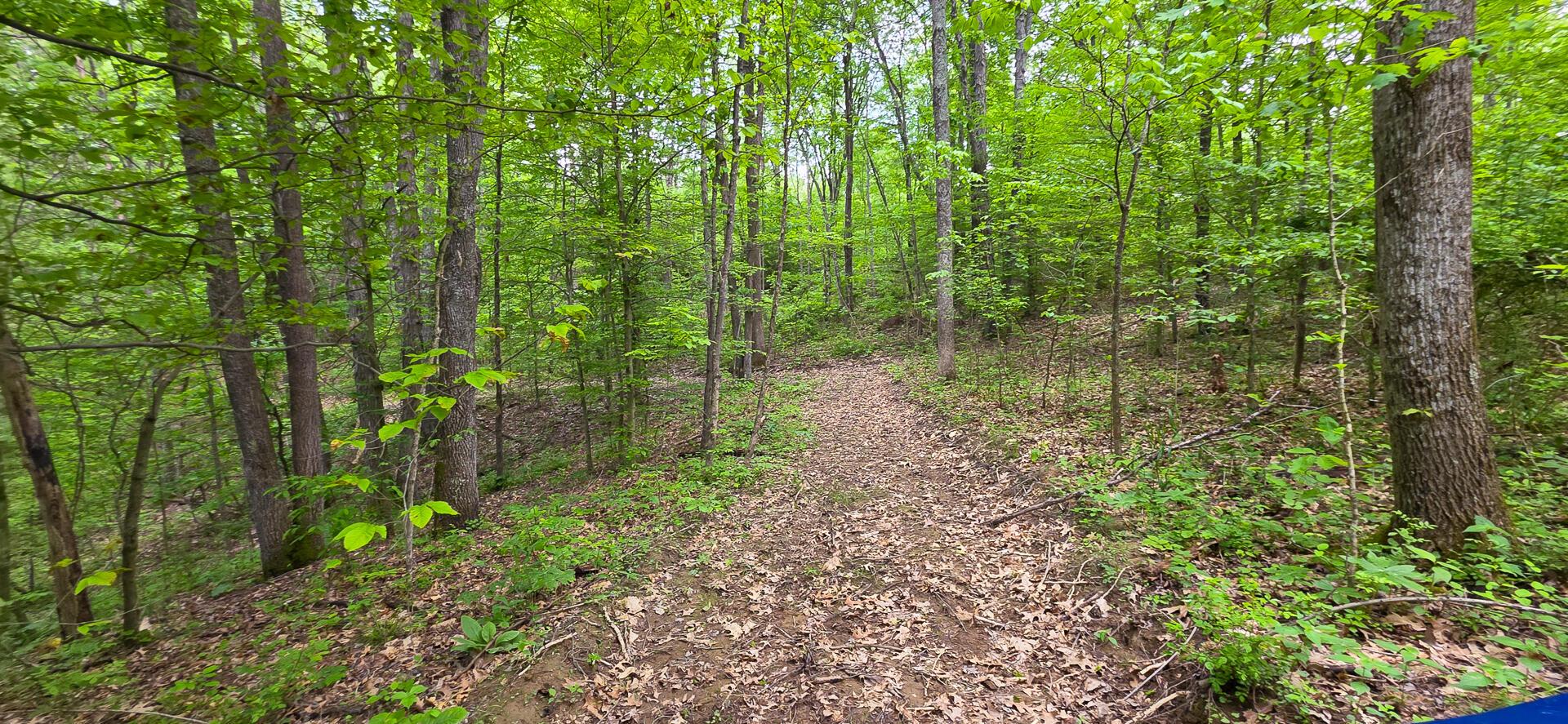 32325 Red Hill Road #PHASE I TRACT 1A BIG TIM, Langsville, Ohio image 14