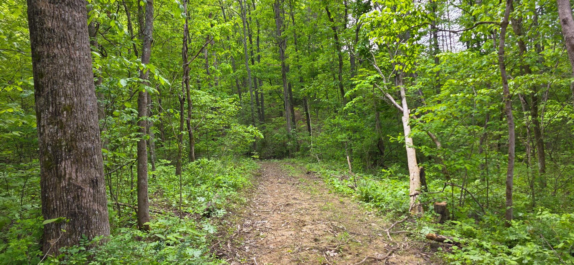 32325 Red Hill Road #PHASE I TRACT 1A BIG TIM, Langsville, Ohio image 9