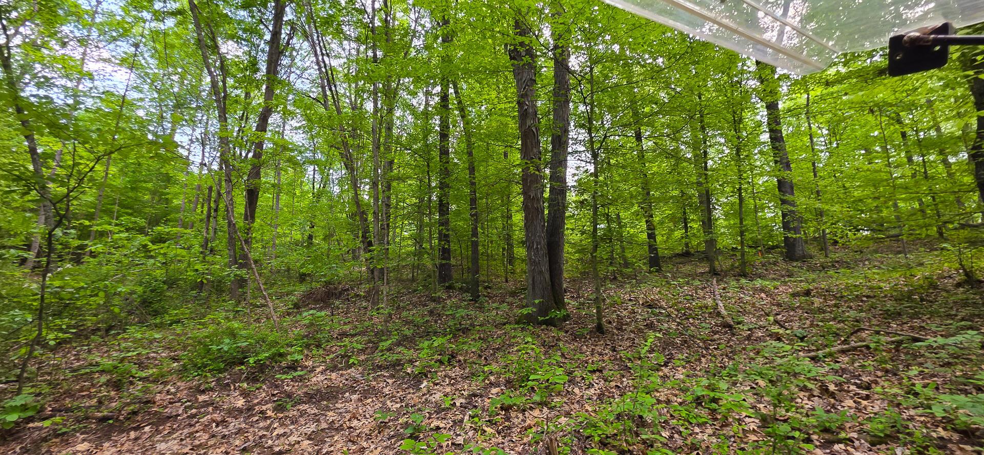 32325 Red Hill Road #PHASE I TRACT 1A BIG TIM, Langsville, Ohio image 15