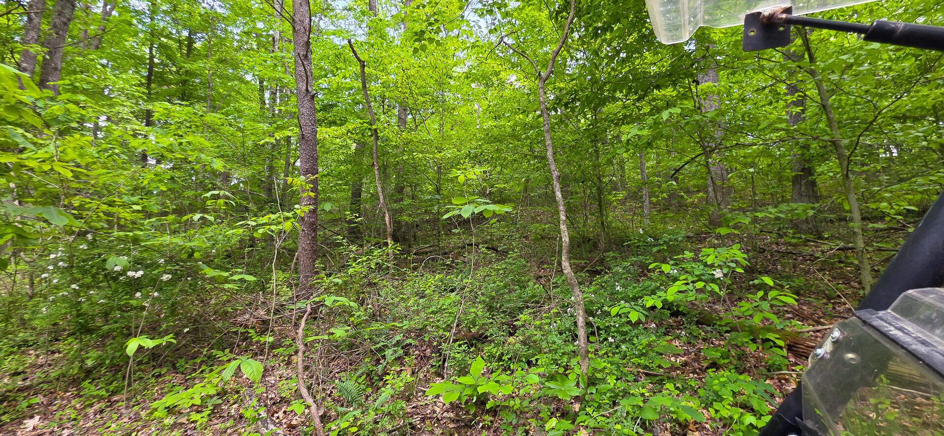 32325 Red Hill Road #PHASE I TRACT 1A BIG TIM, Langsville, Ohio image 23