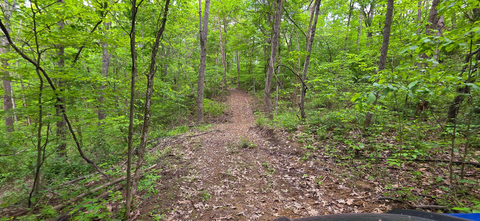32325 Red Hill Road #PHASE I TRACT 1A BIG TIM, Langsville, Ohio image 22
