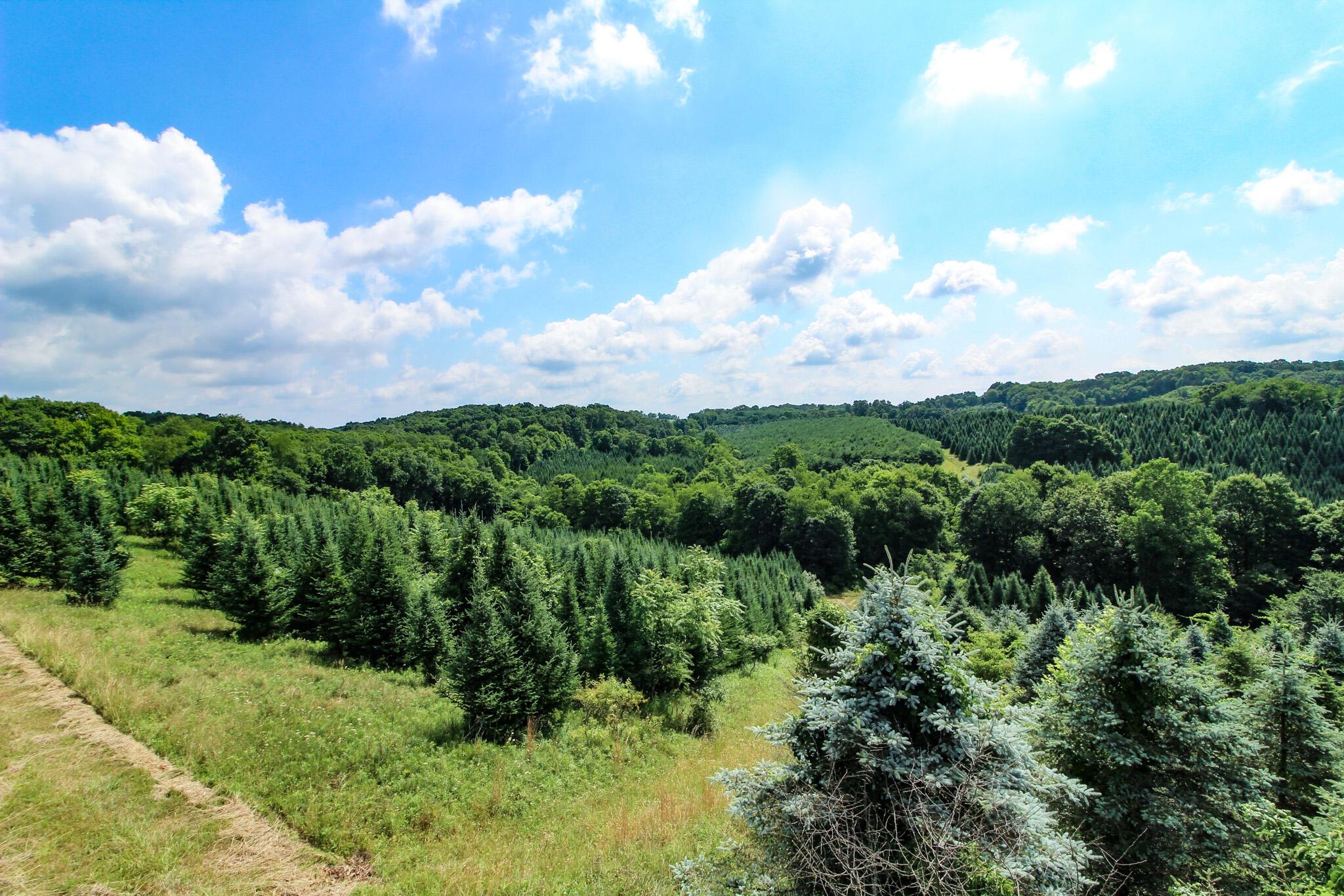 11187 Techniglas Road, Saint Louisville, Ohio image 25