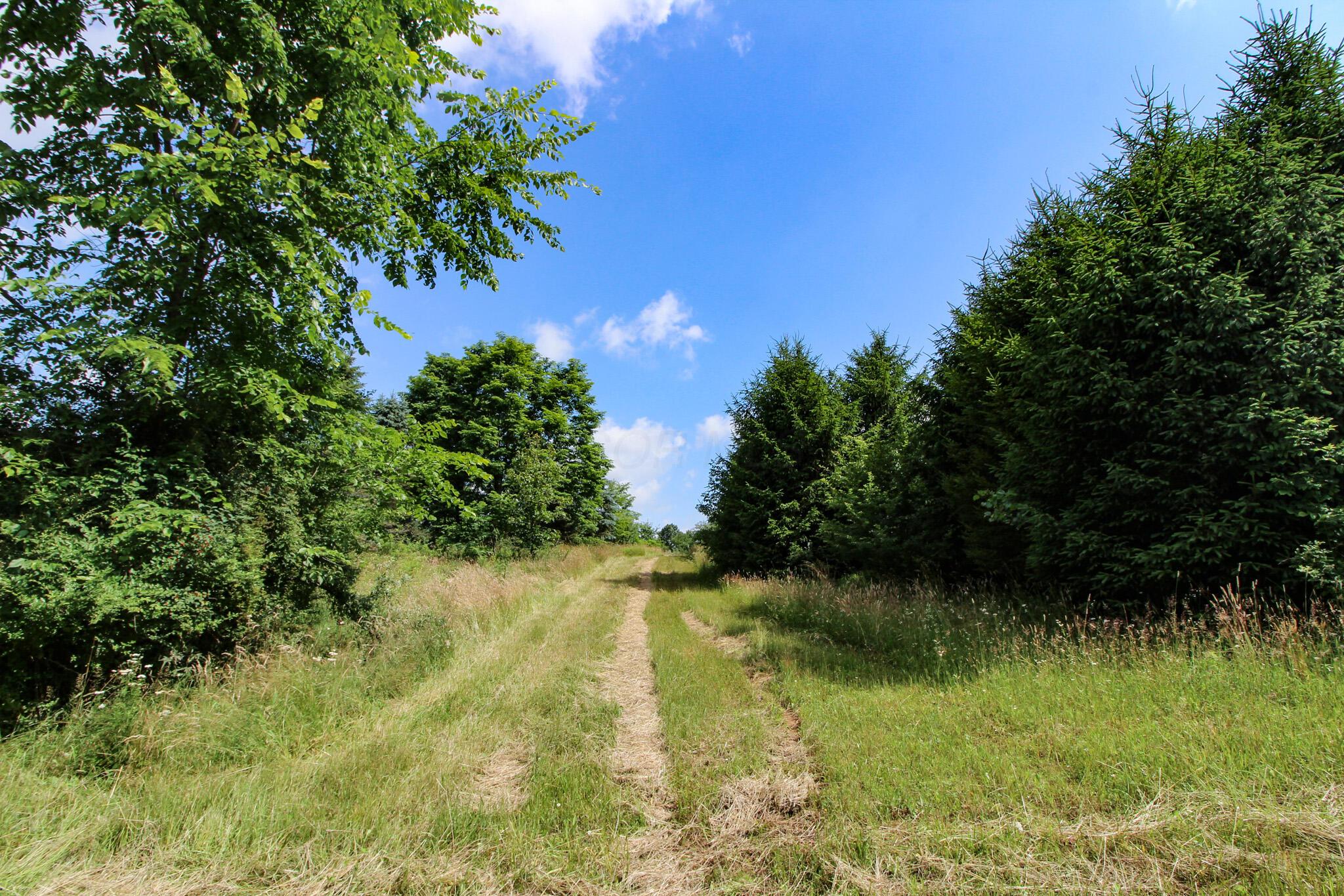 11187 Techniglas Road, Saint Louisville, Ohio image 32