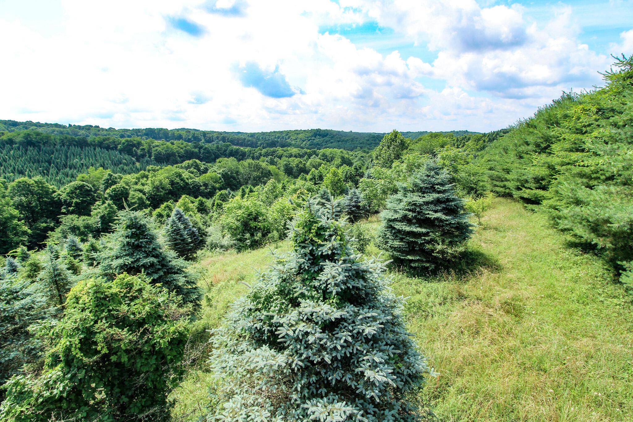 11187 Techniglas Road, Saint Louisville, Ohio image 36