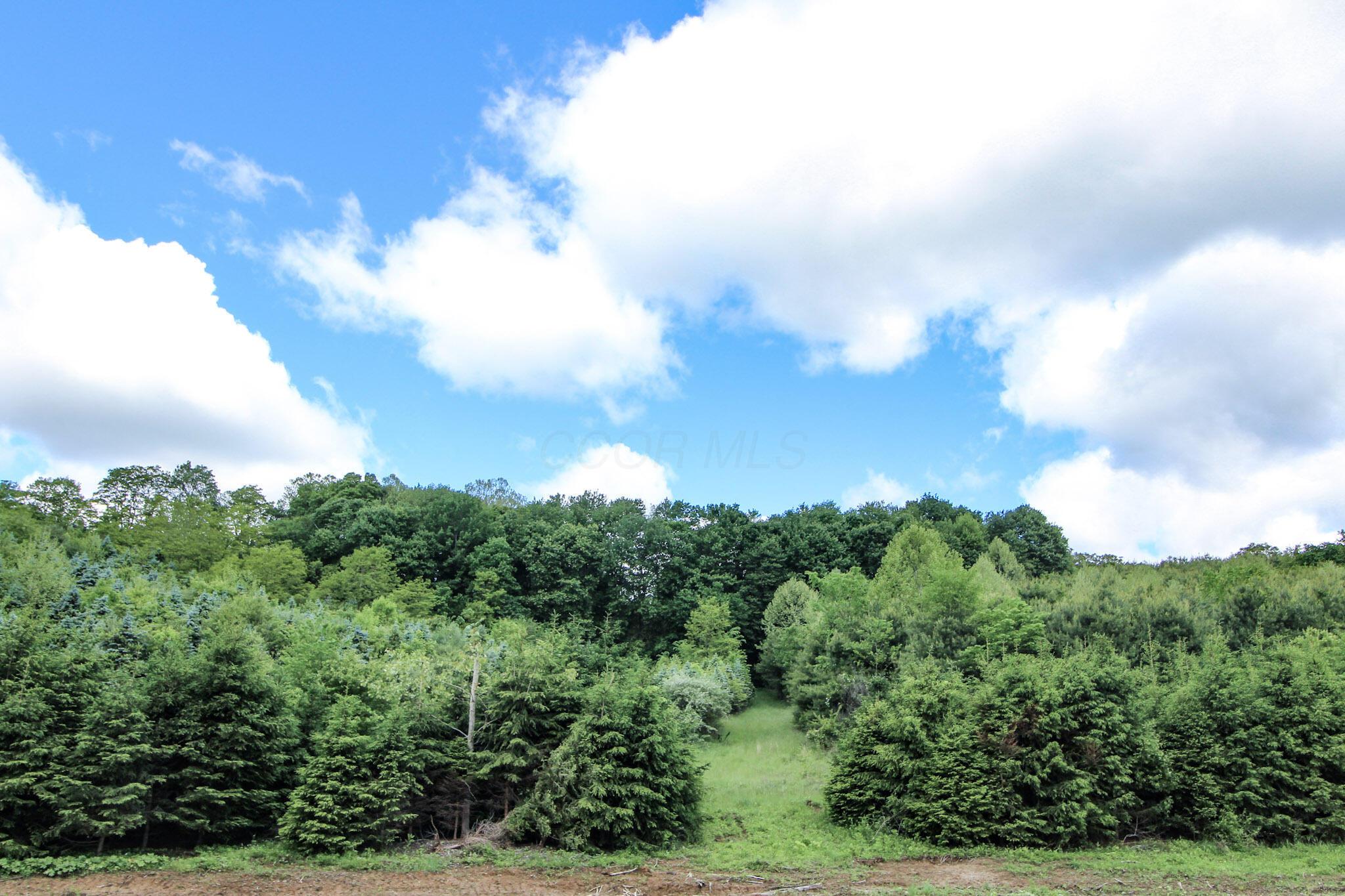 11187 Techniglas Road, Saint Louisville, Ohio image 38
