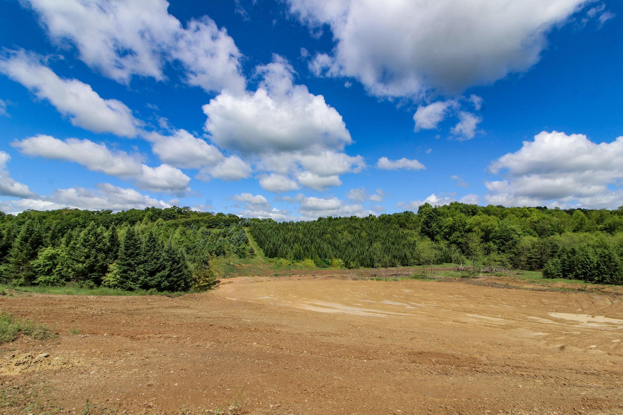 11187 Techniglas Road, Saint Louisville, Ohio image 15