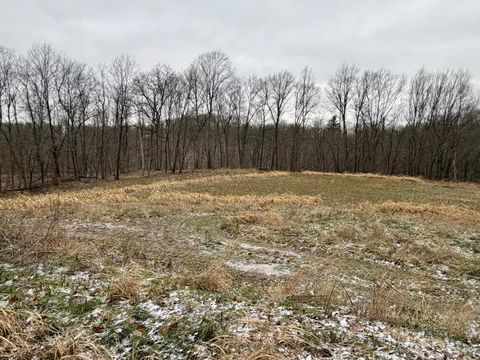 Photo of 0 Sealover Hollow Road, Philo, OH 43771 (MLS # 225046267)