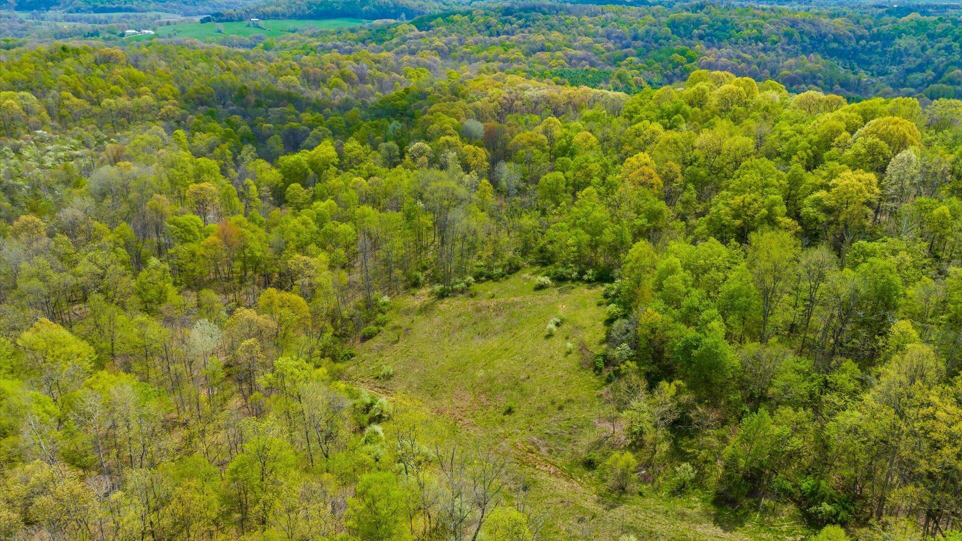 S Leedom Road, Chandlersville, Ohio image 21