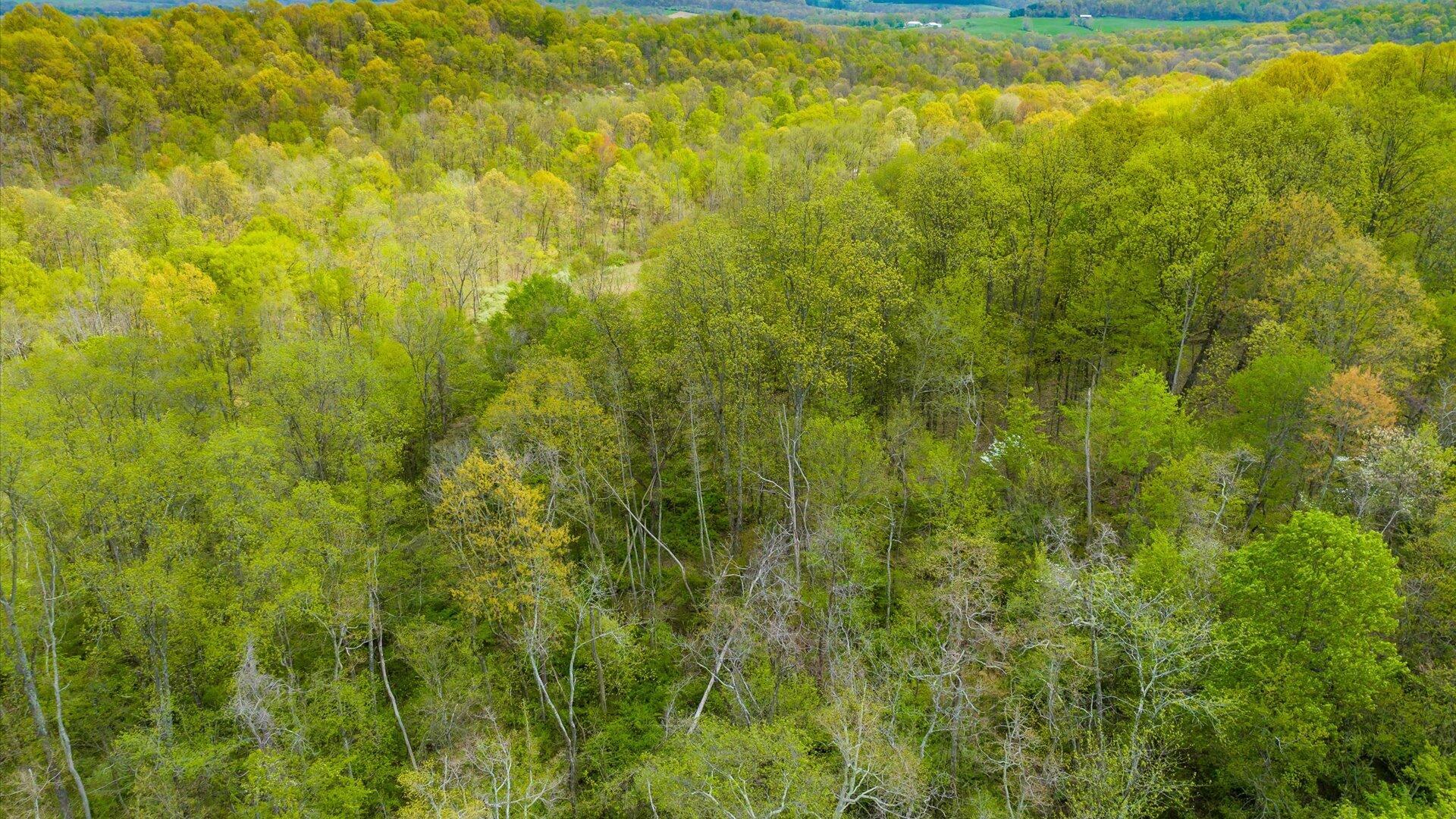S Leedom Road, Chandlersville, Ohio image 20