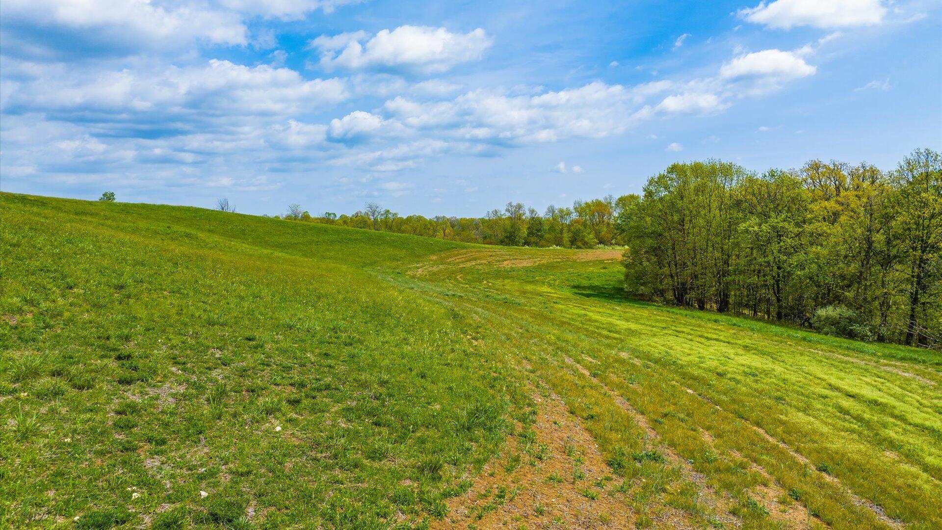 S Leedom Road, Chandlersville, Ohio image 11