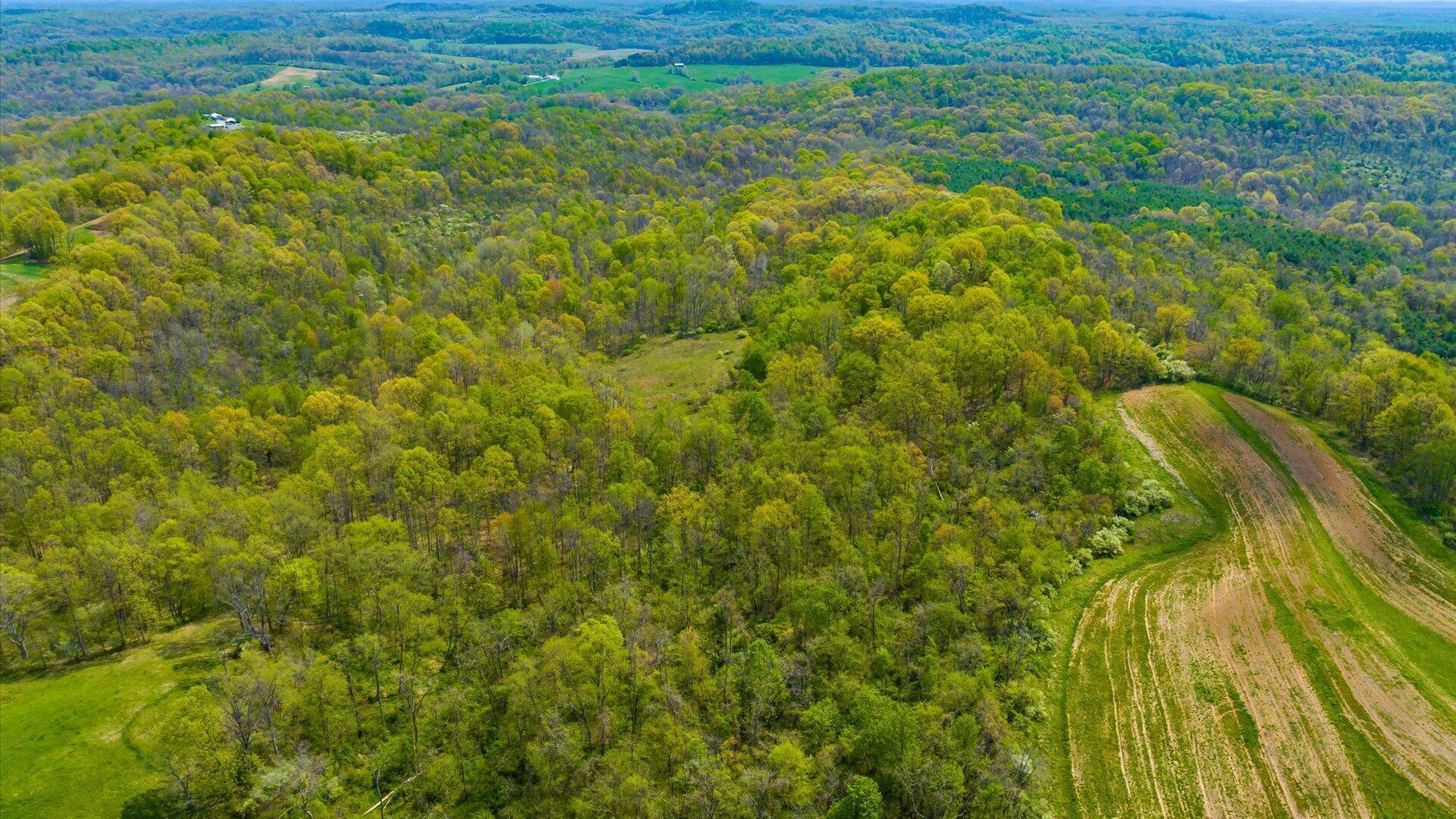S Leedom Road, Chandlersville, Ohio image 13