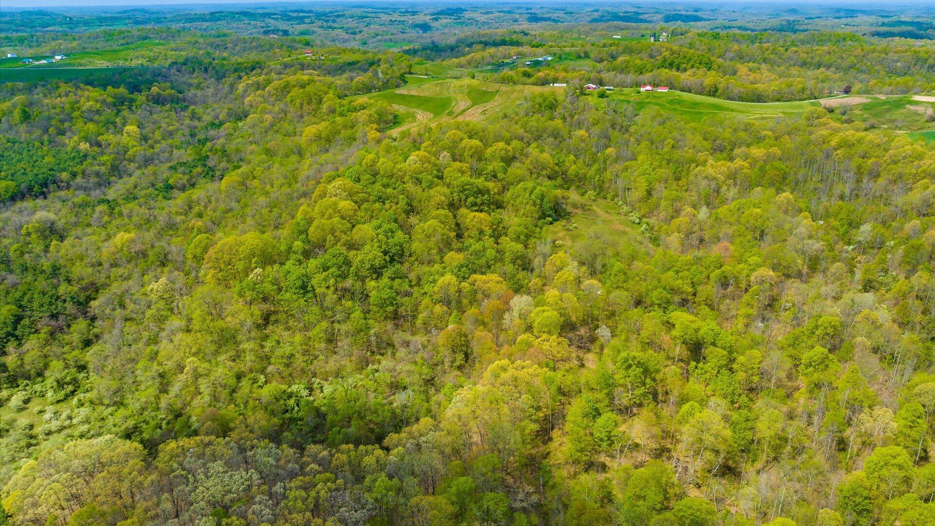 S Leedom Road, Chandlersville, Ohio image 19