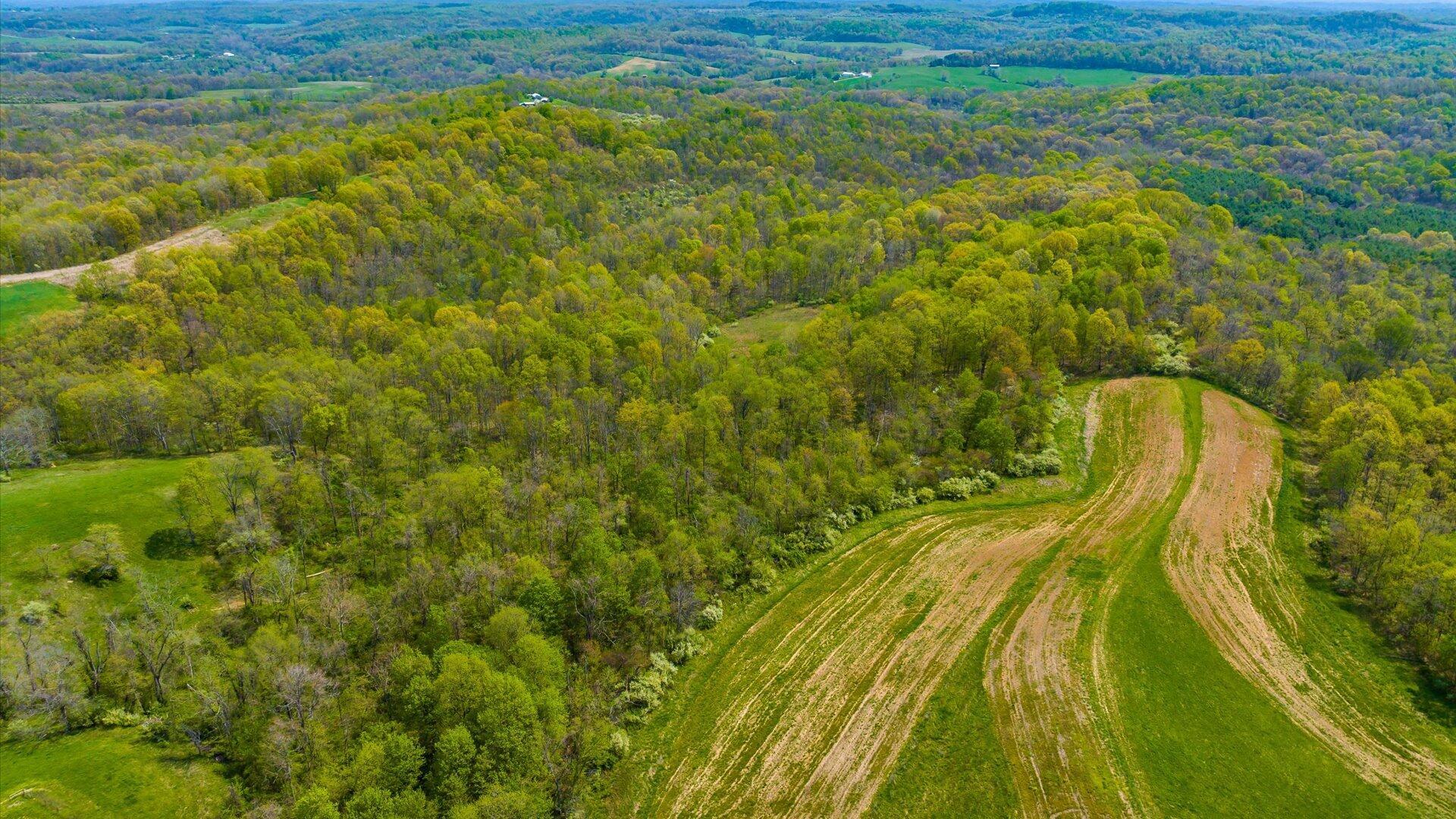 S Leedom Road, Chandlersville, Ohio image 17